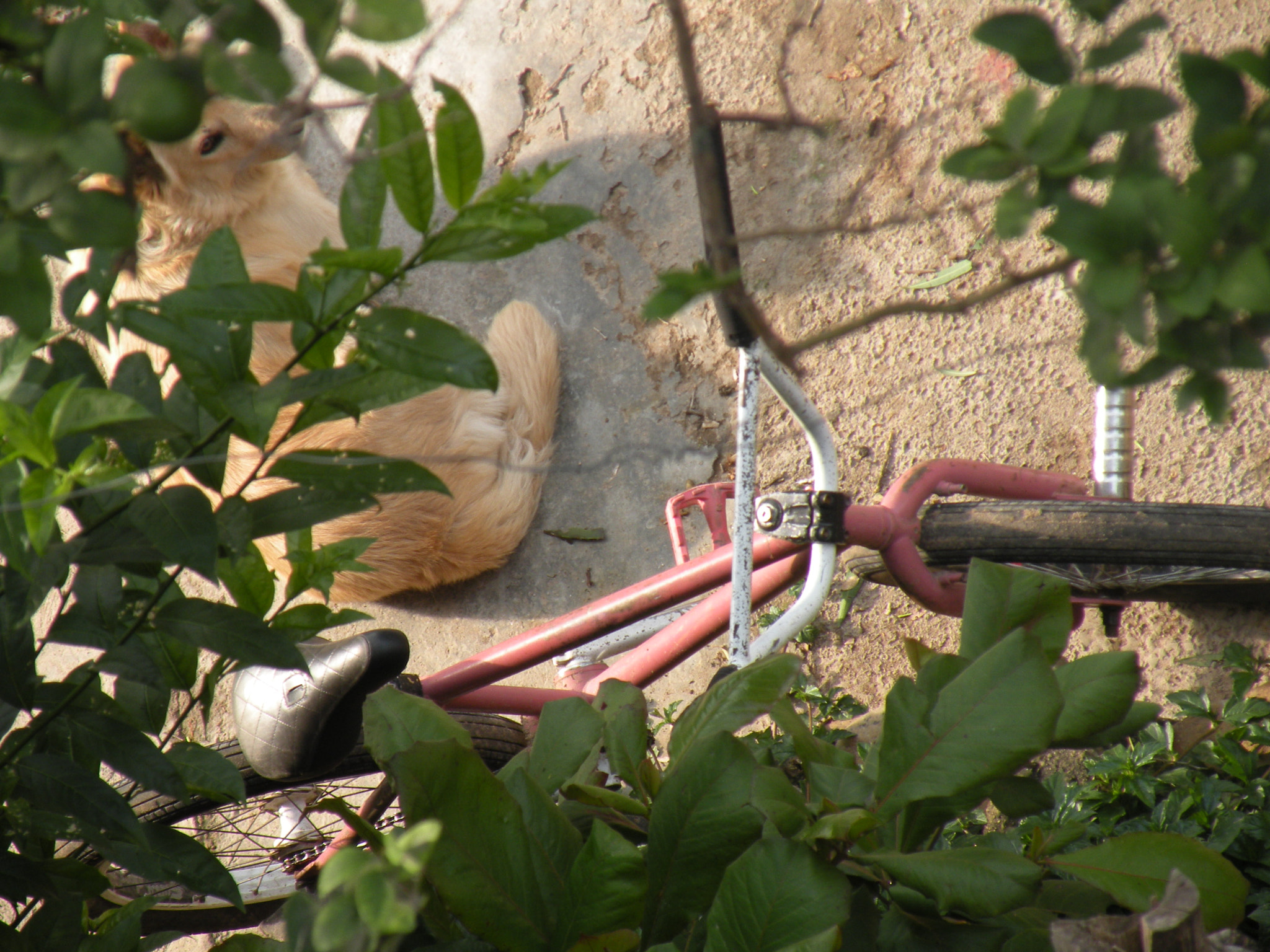 Nikon Coolpix P80 sample photo. Memories photography