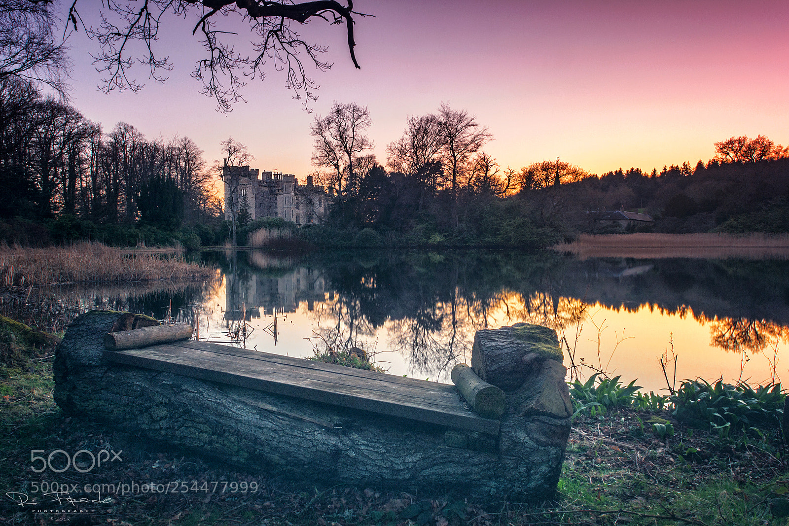 Nikon D5200 sample photo. Duns castle photography