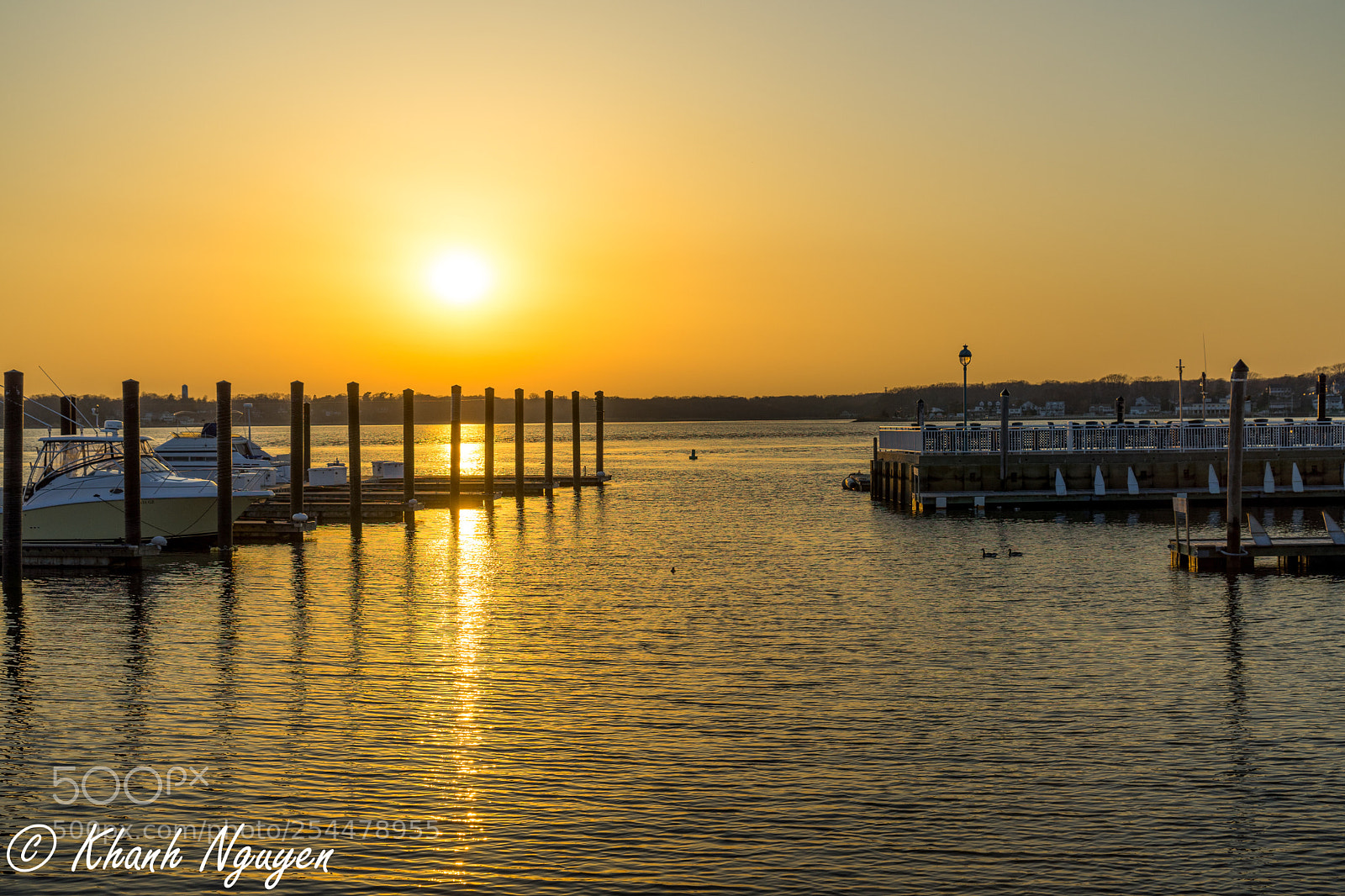Sony a7 II sample photo. Untitled photography