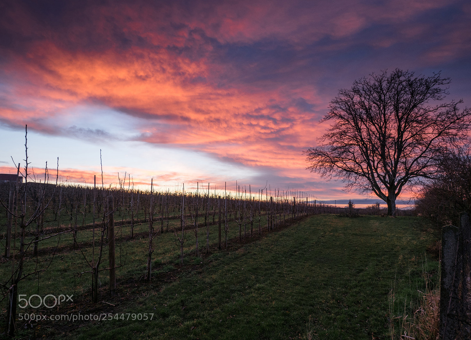 Olympus OM-D E-M5 II sample photo. Sunset in thüringen photography