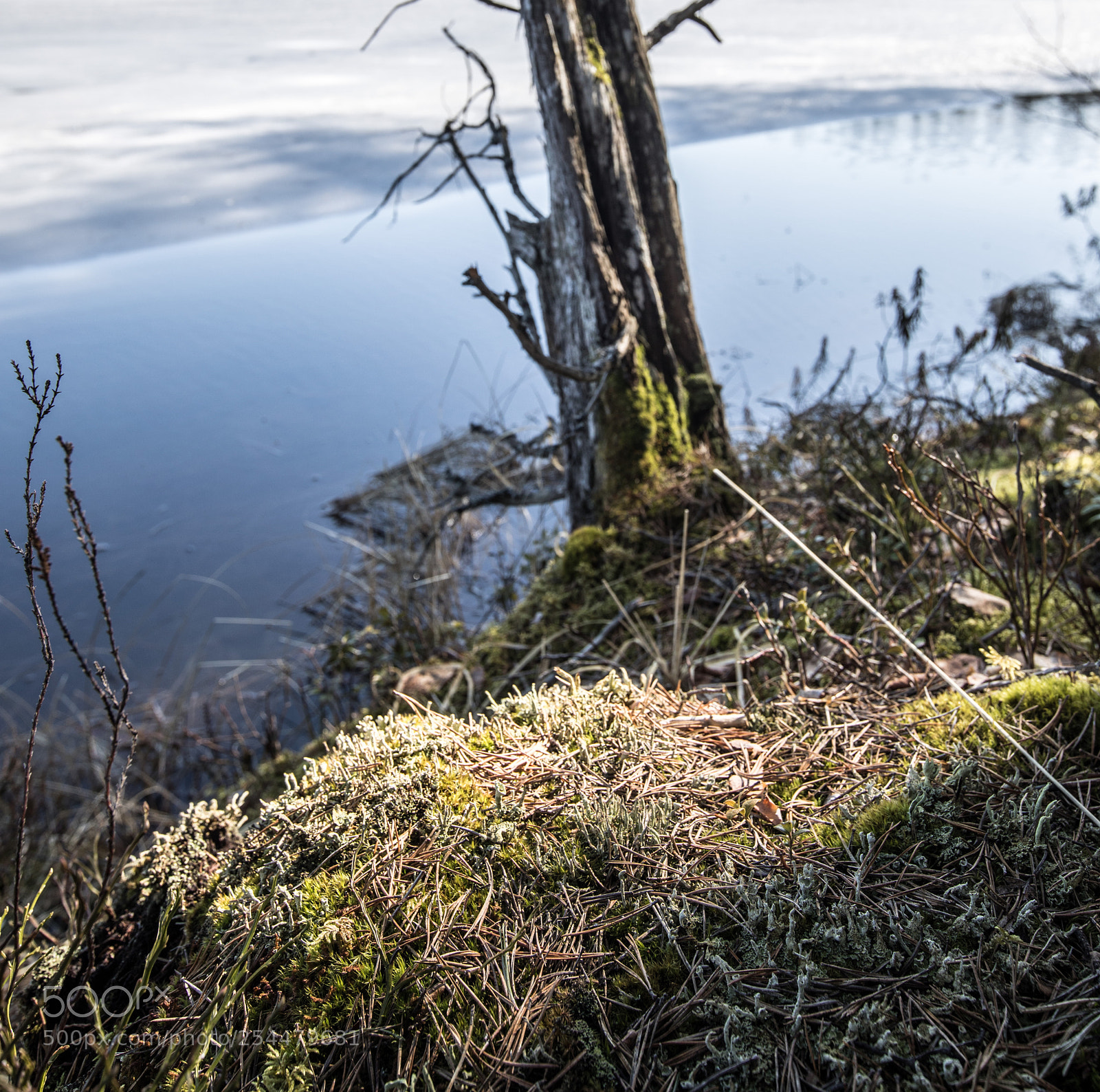 Canon EOS 5D Mark IV sample photo. Finnish lakesdie photography