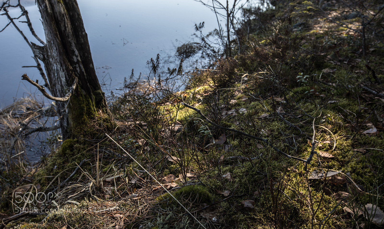 Canon EOS 5D Mark IV sample photo. Finnish lakeside ii photography