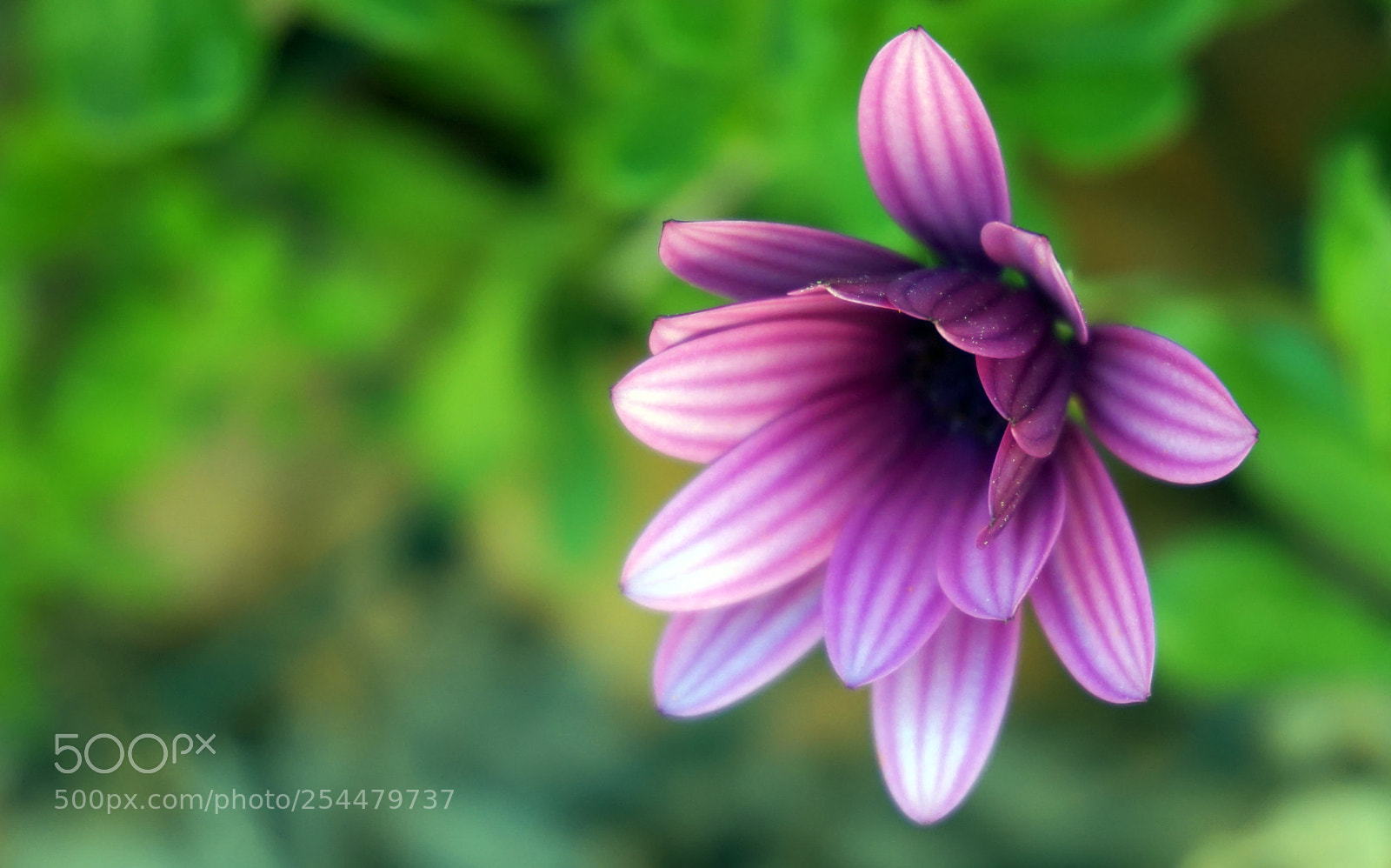 Sony a5100 sample photo. 6.jpg photography