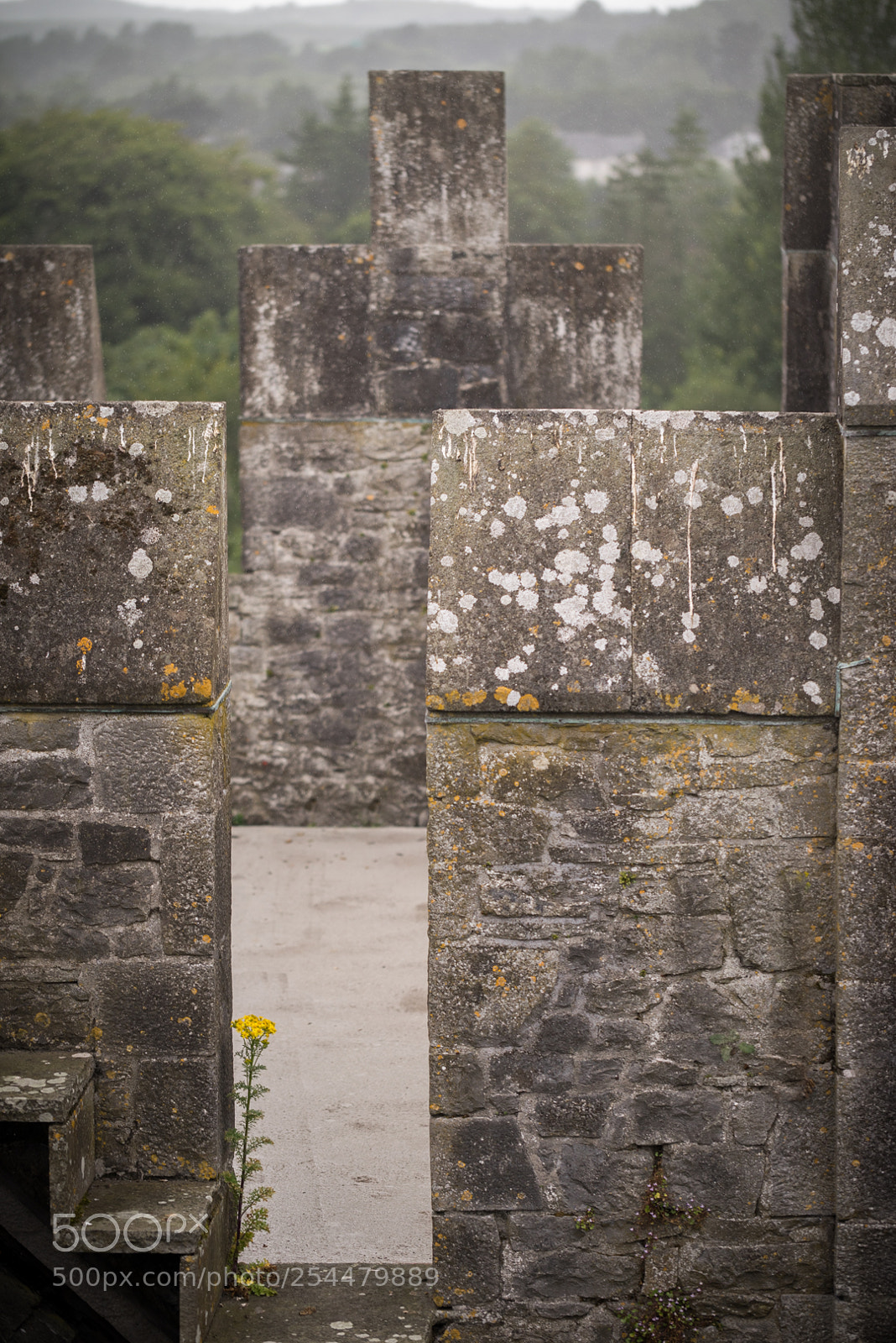 Sony a7R sample photo. Last defender photography
