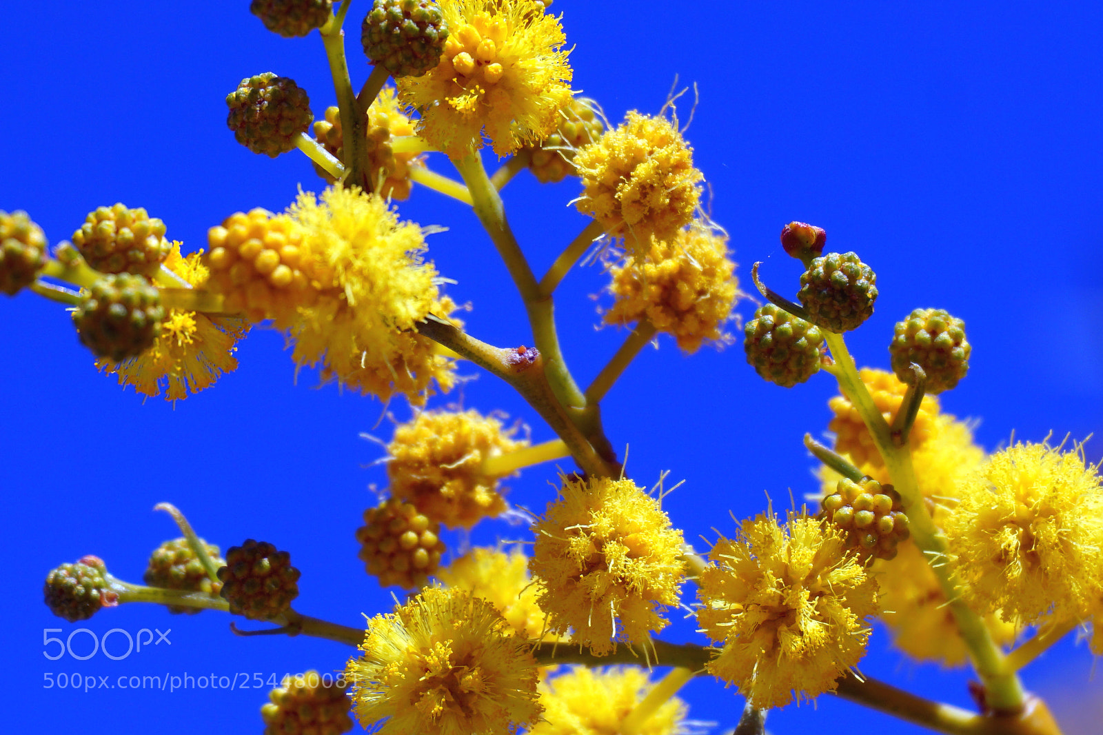 Sony a5100 sample photo. 13.jpg photography