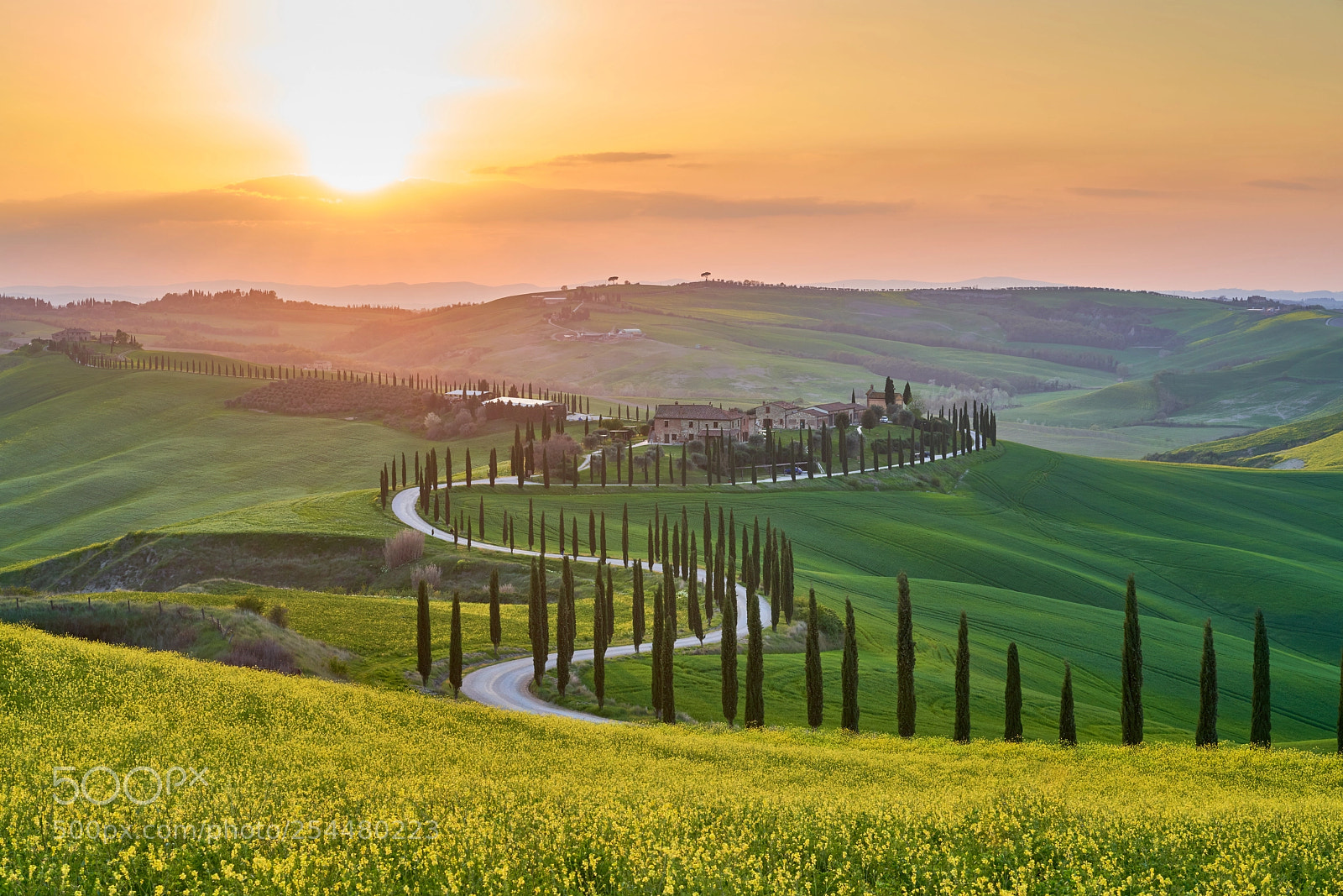 Sony a7R III sample photo. Beautiful evening in tuscany photography