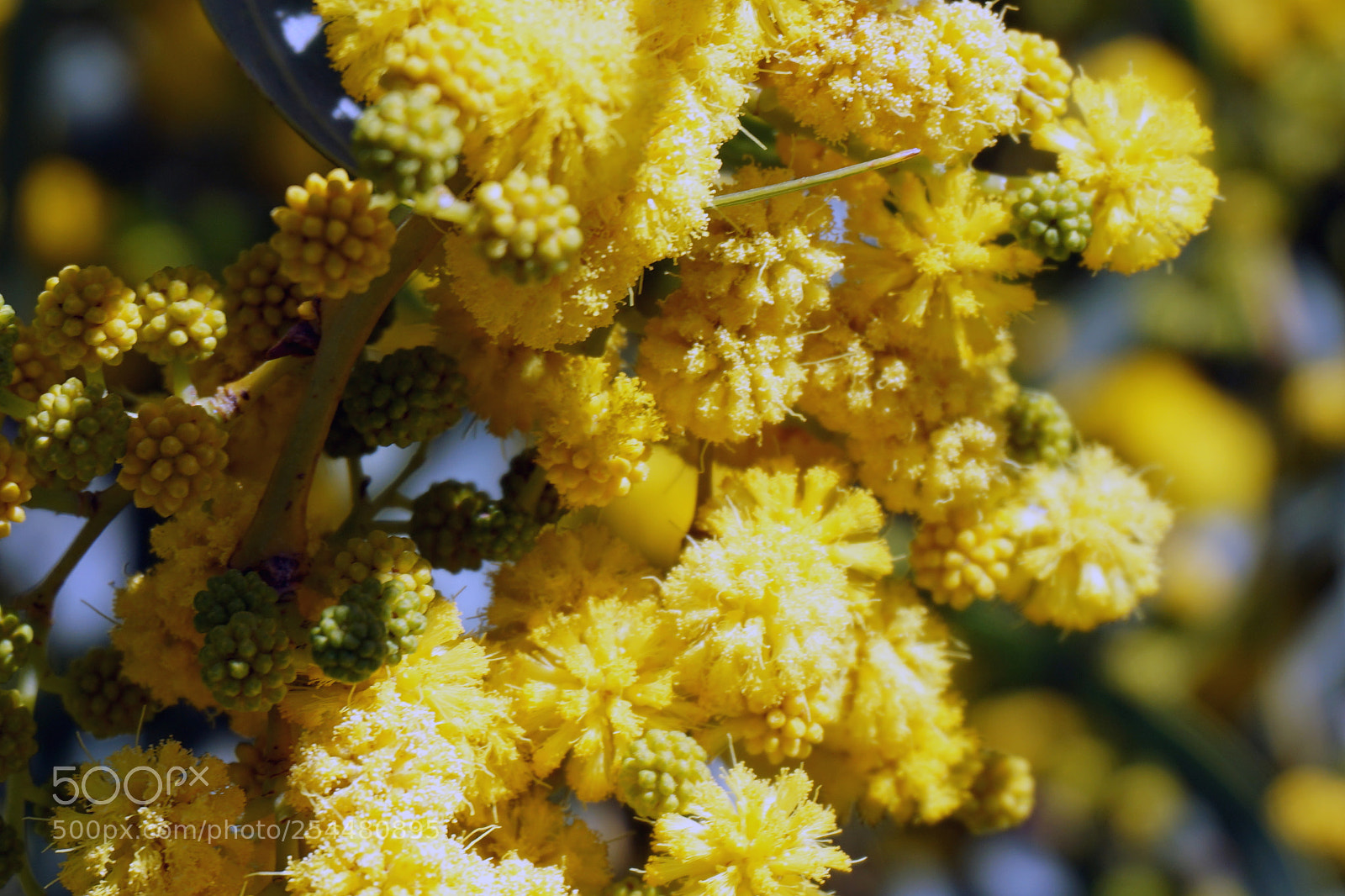Sony a5100 sample photo. 19.jpg photography