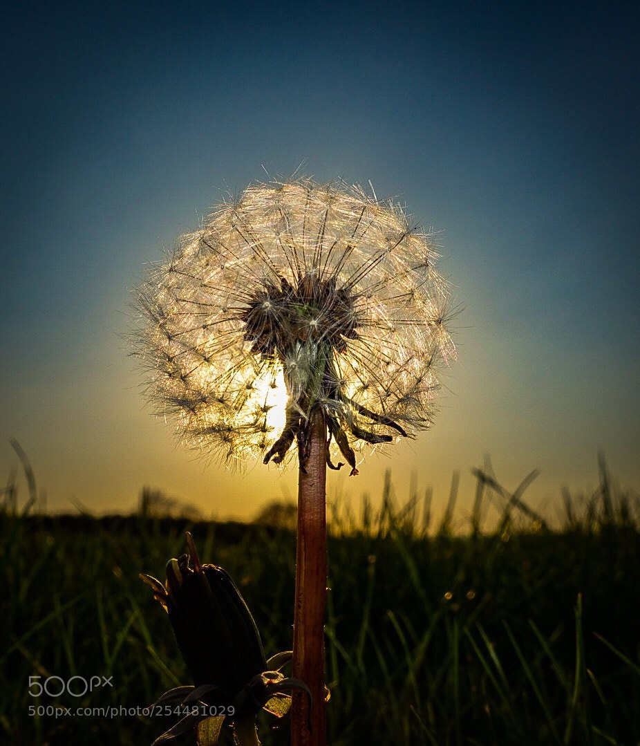 Sony Cyber-shot DSC-RX100 IV sample photo. Golden clock photography