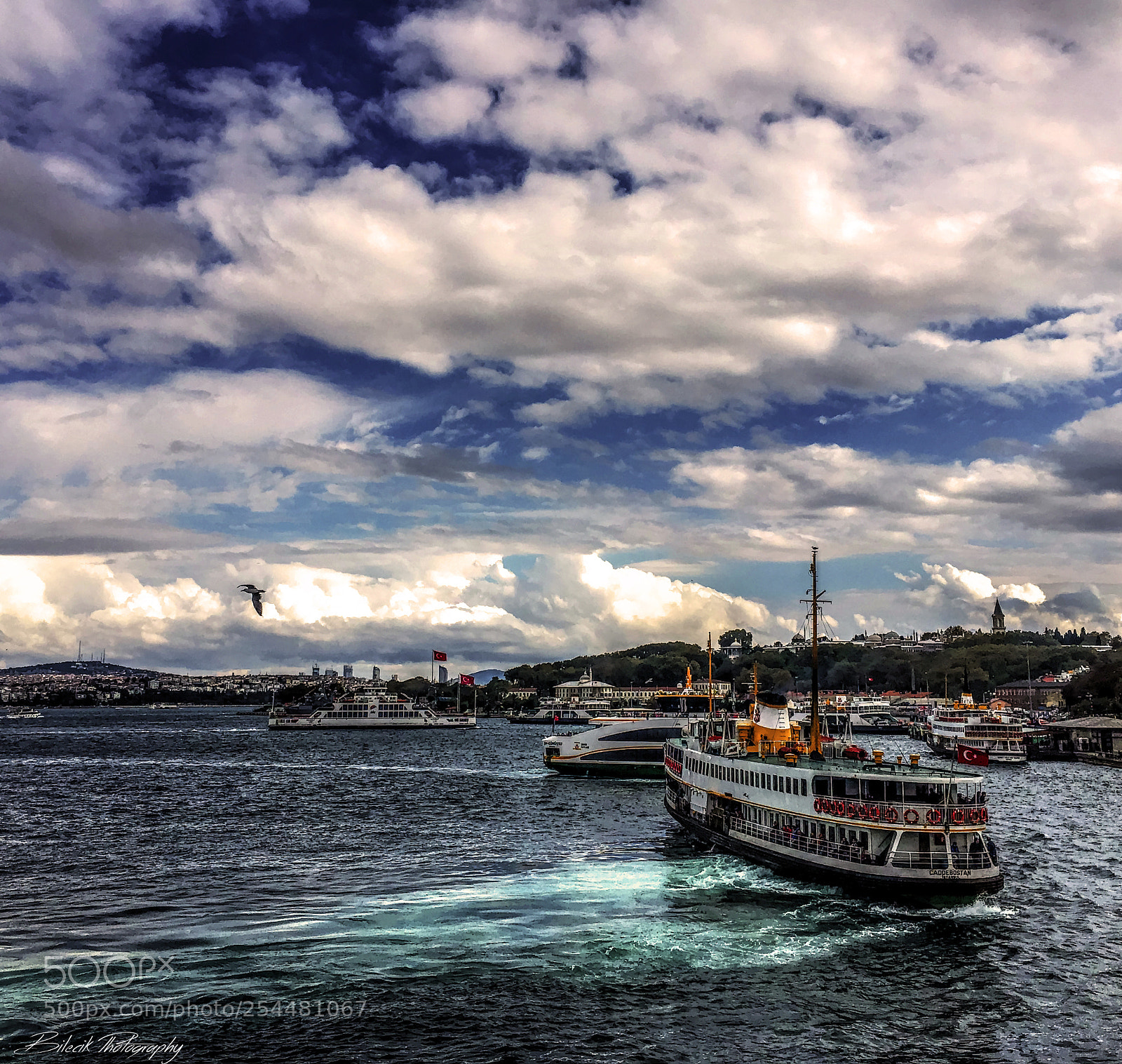 Apple iPhone 6s Plus sample photo. Tonemapped photography