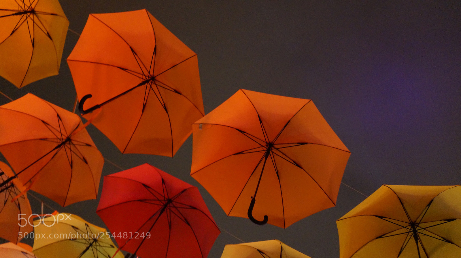 Sony Alpha a3000 sample photo. Mary poppins  photography