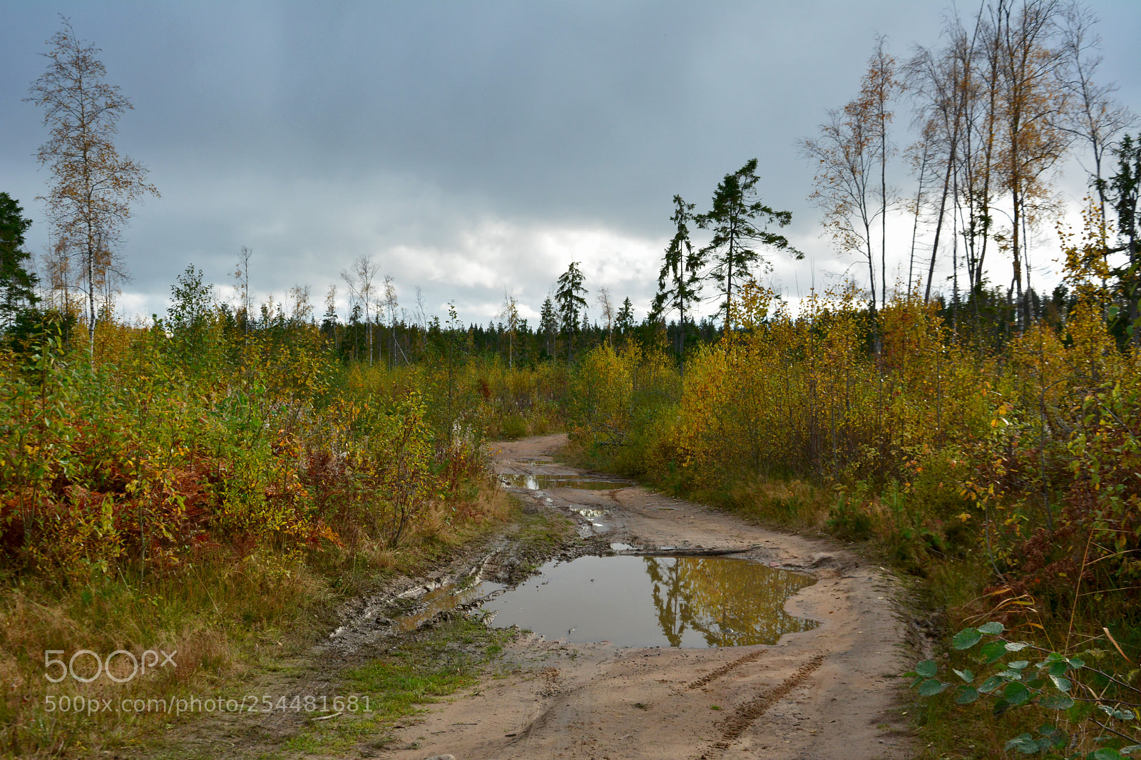 Nikon D7100 sample photo. Untitled photography