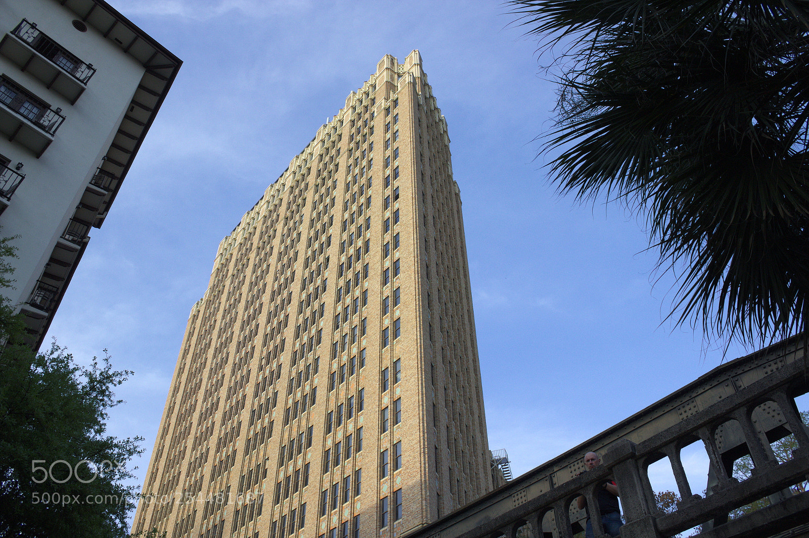Canon EOS 600D (Rebel EOS T3i / EOS Kiss X5) sample photo. From the ground up photography