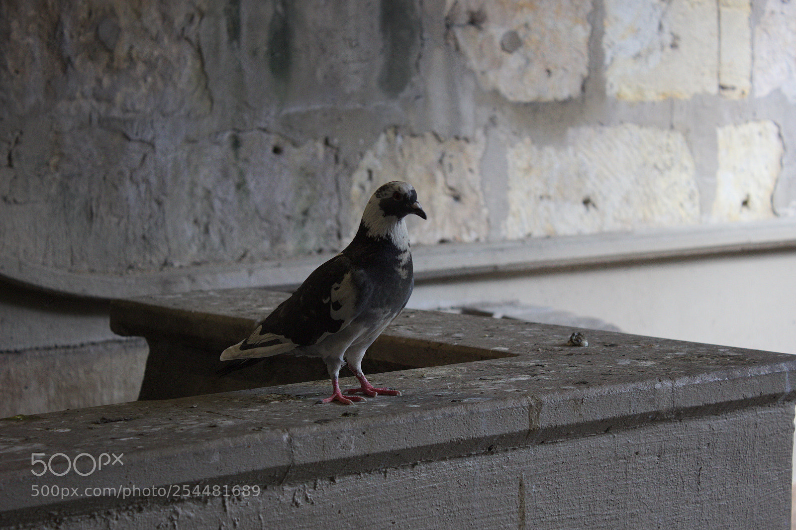Canon EOS 600D (Rebel EOS T3i / EOS Kiss X5) sample photo. River walk life photography