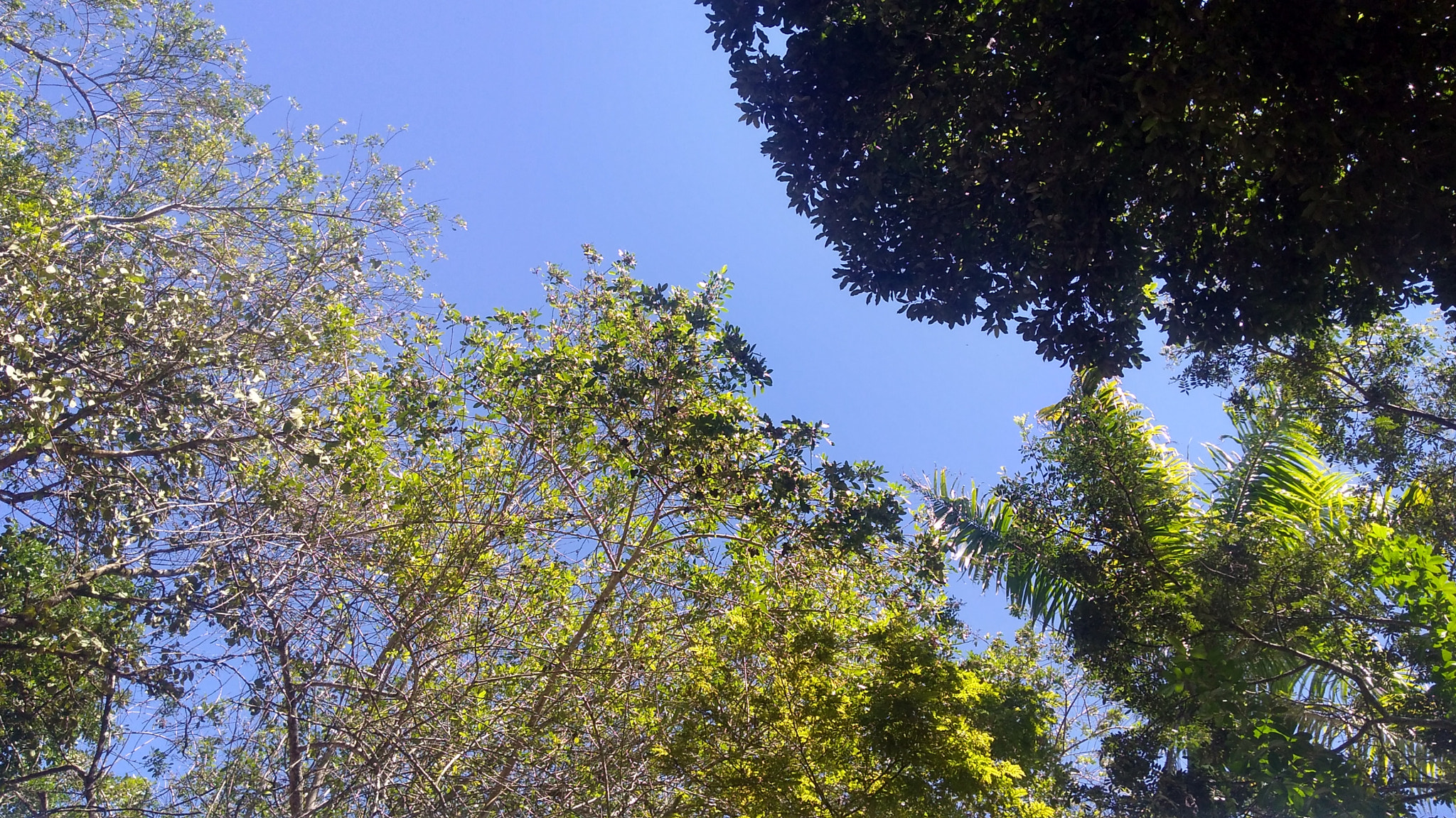 Motorola Moto G Play sample photo