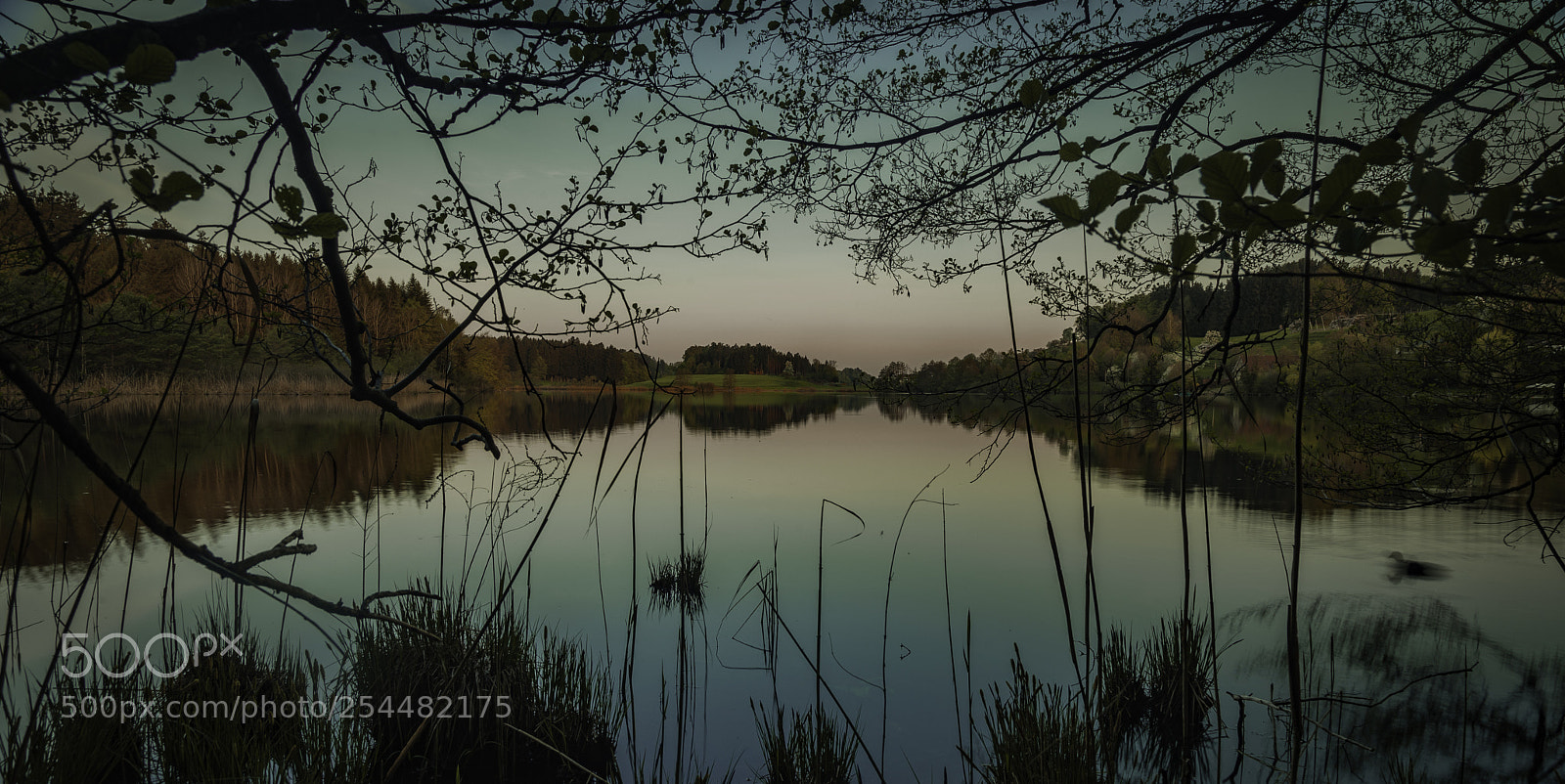 Canon EOS 5D Mark II sample photo. Untitled photography