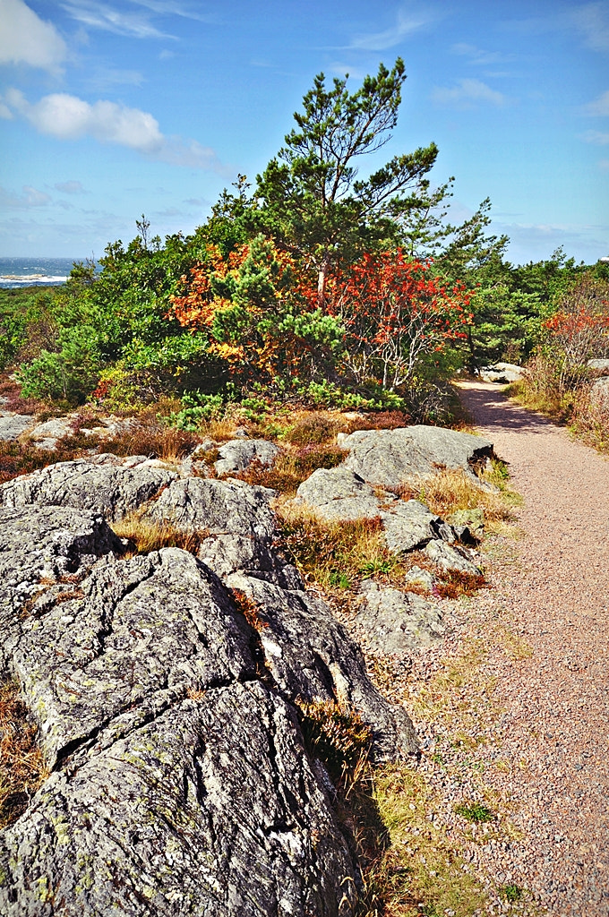Nikon D5000 sample photo. Marstrand photography