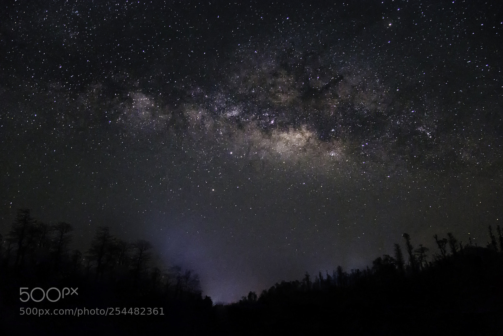 Nikon D610 sample photo. Beneath the stars-04 photography