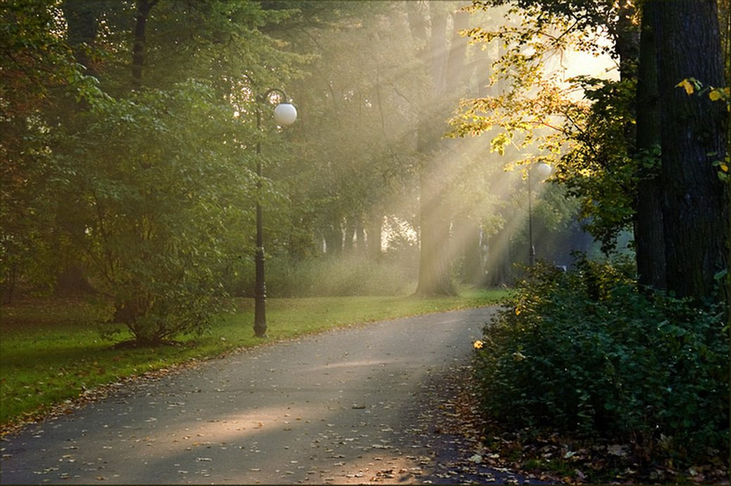 KONICA MINOLTA DYNAX 5D sample photo. City park at sunrise photography