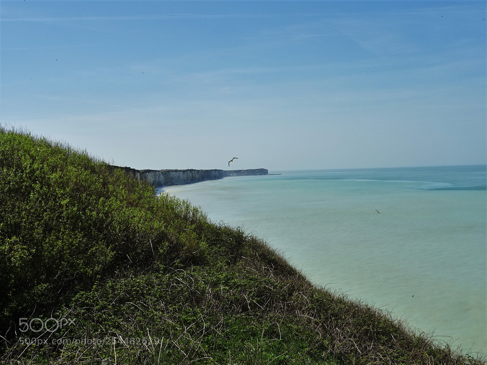 Sony DSC-HX60 sample photo. Côte d'albatre photography