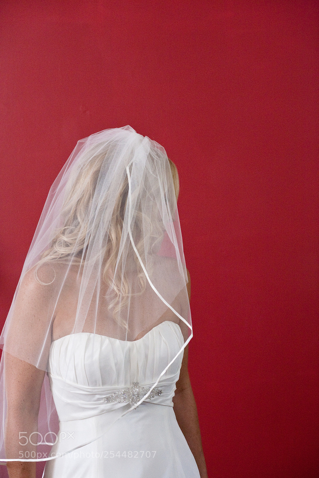 Canon EOS 5D sample photo. Bride on red photography