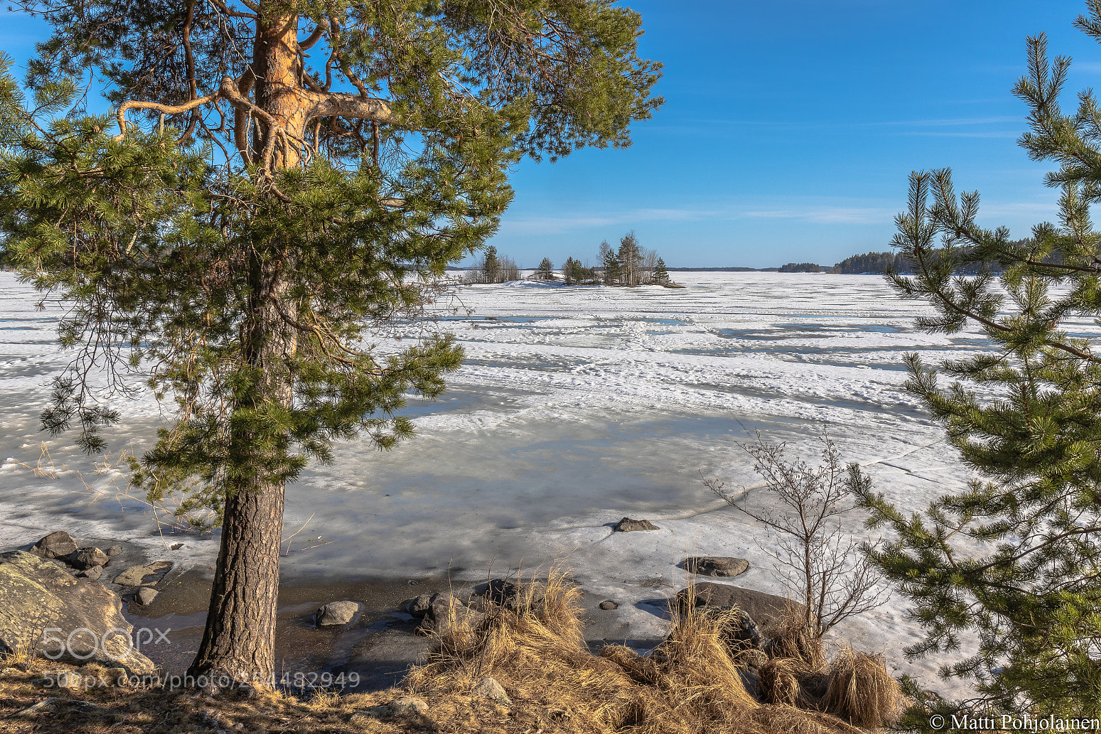 Canon EOS 7D Mark II sample photo. Spring photography