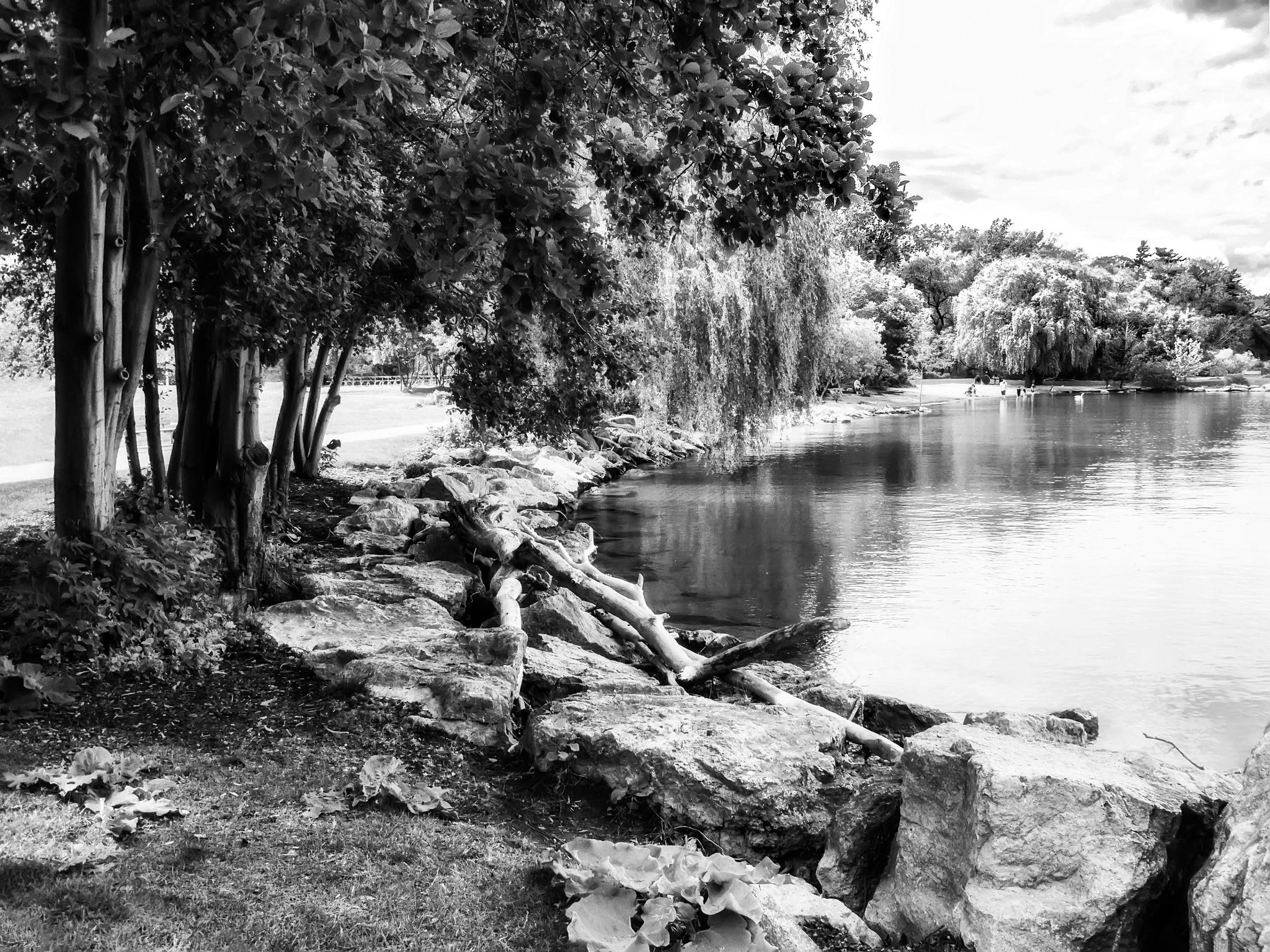 Canon PowerShot G10 sample photo. Jack darling-park photography