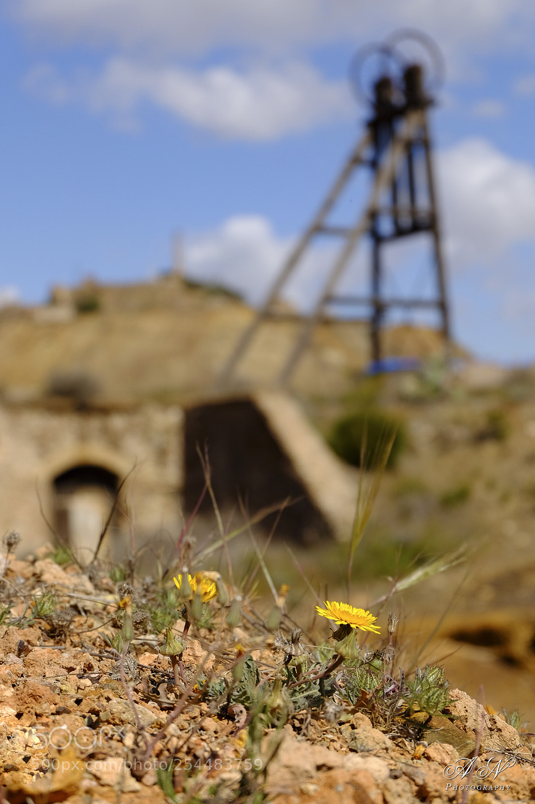 Fujifilm X-T10 sample photo. El diente de le photography
