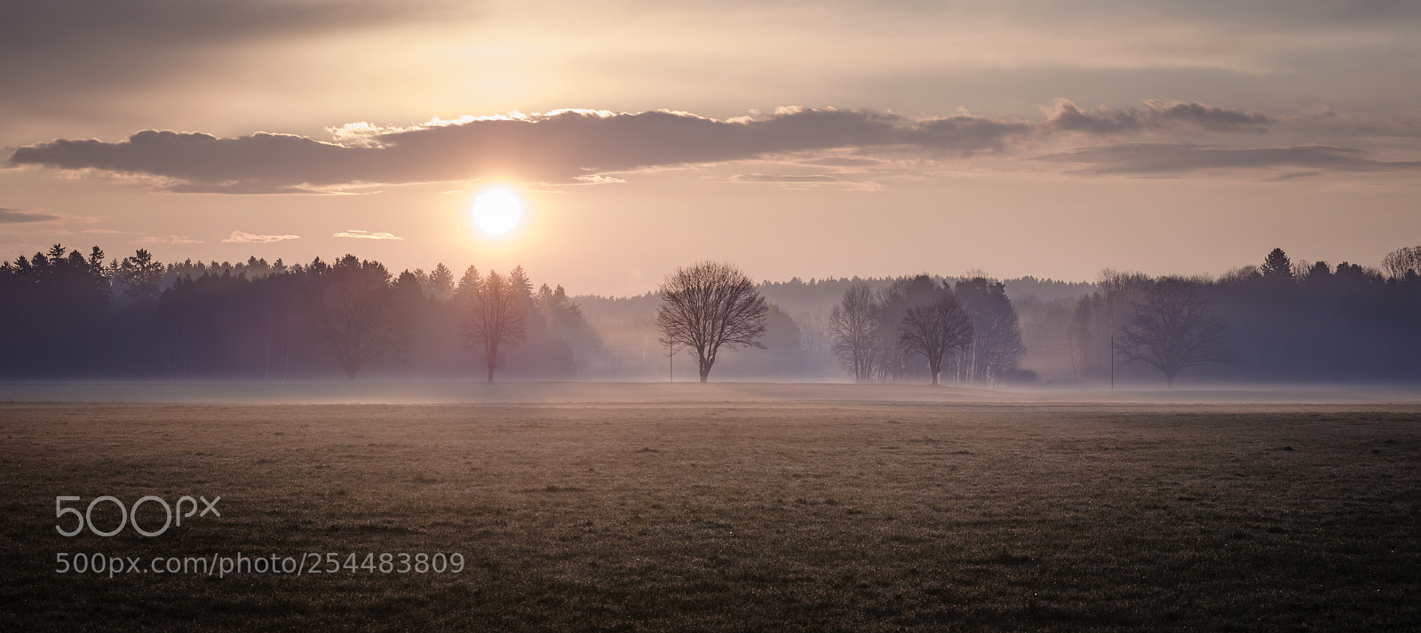 Pentax K-3 II sample photo. Morning light photography