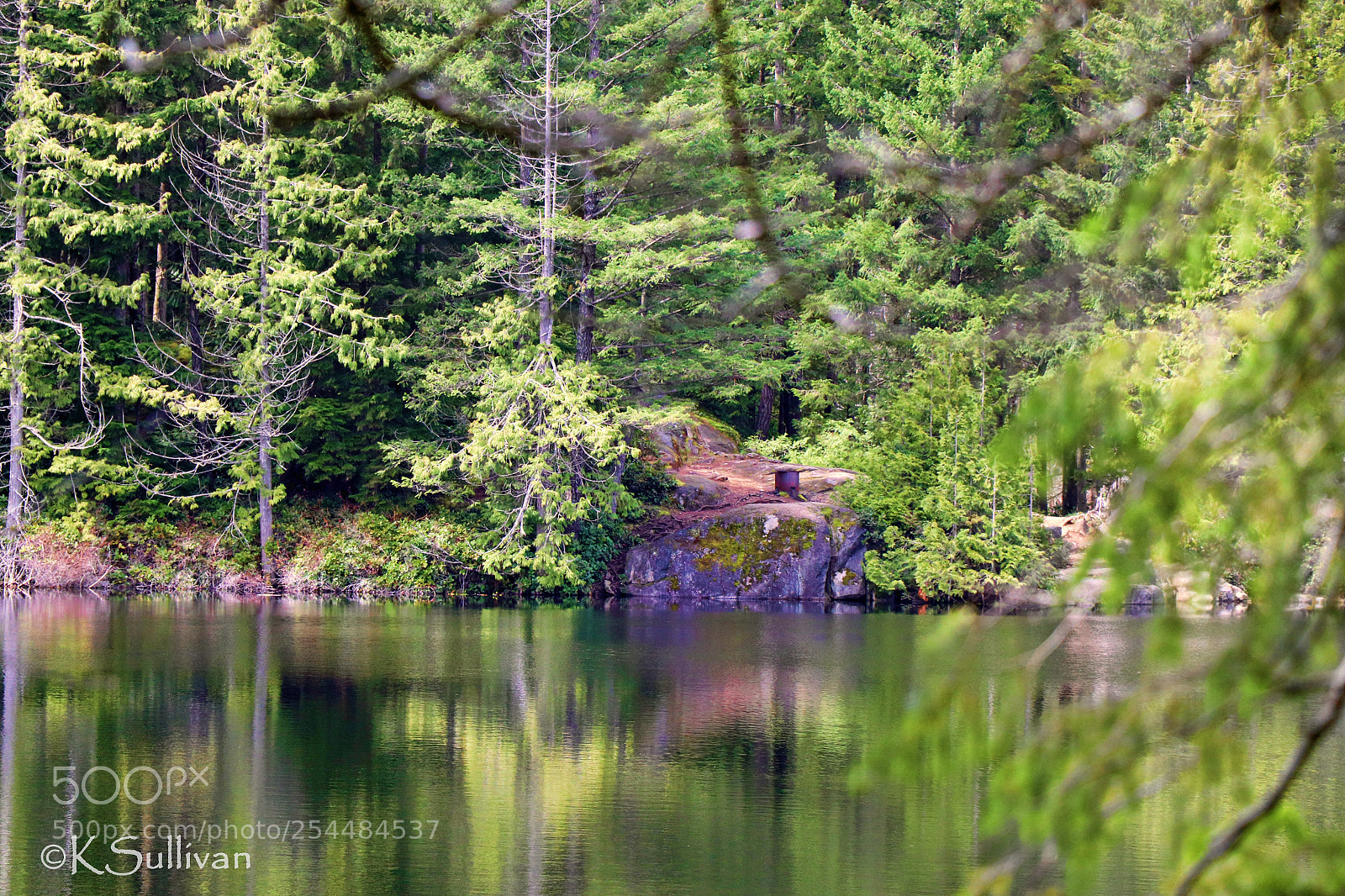 Canon EOS 77D (EOS 9000D / EOS 770D) sample photo. View across the lake photography