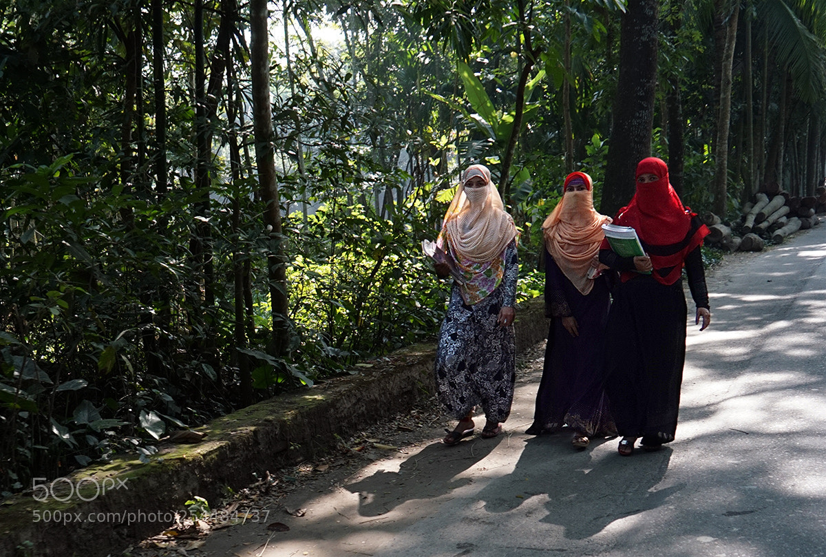 Sony a6000 sample photo. Friends on the way photography