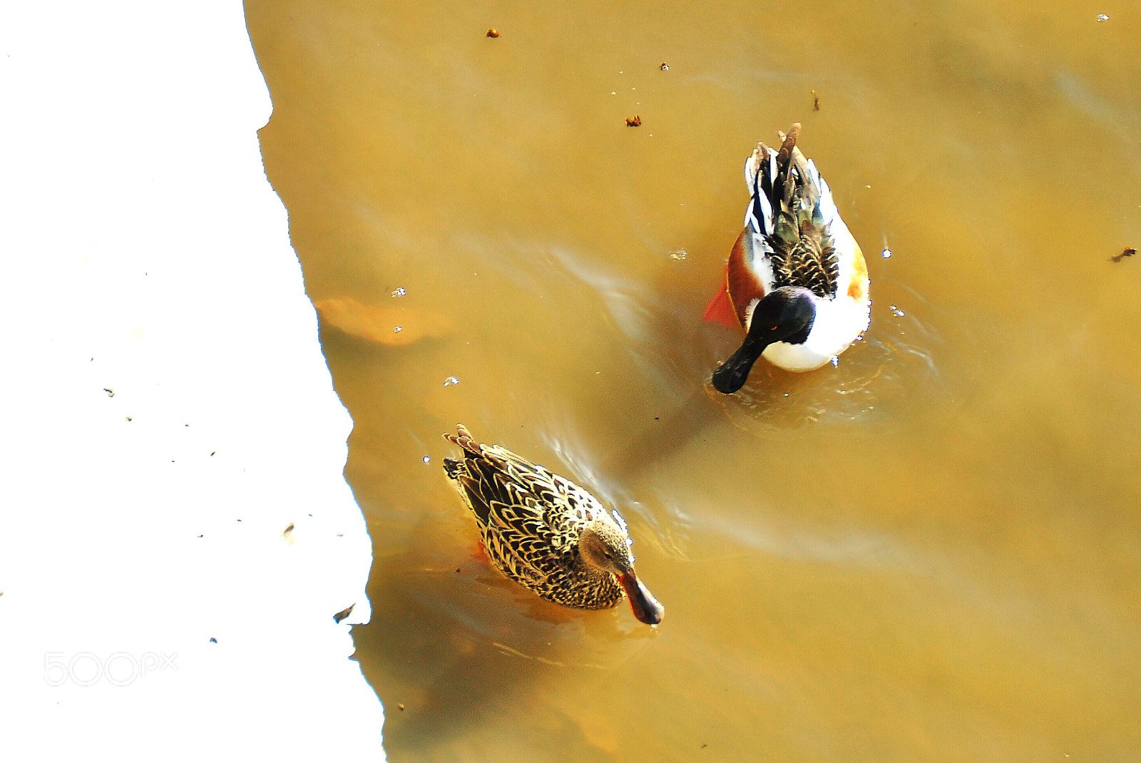 Nikon D90 sample photo. View from the top photography