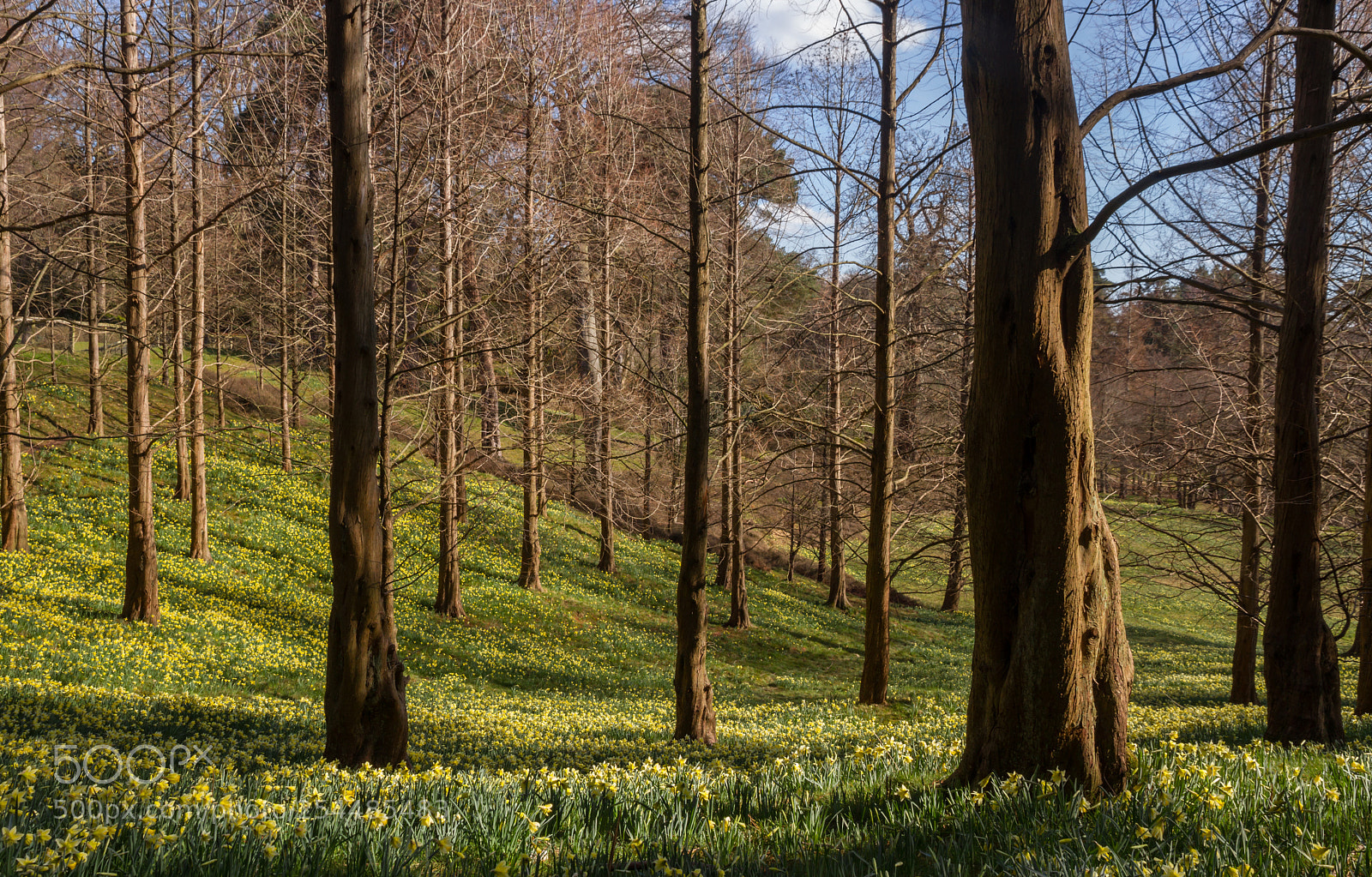 Canon EOS 7D sample photo. Two valleys, valley gardens photography