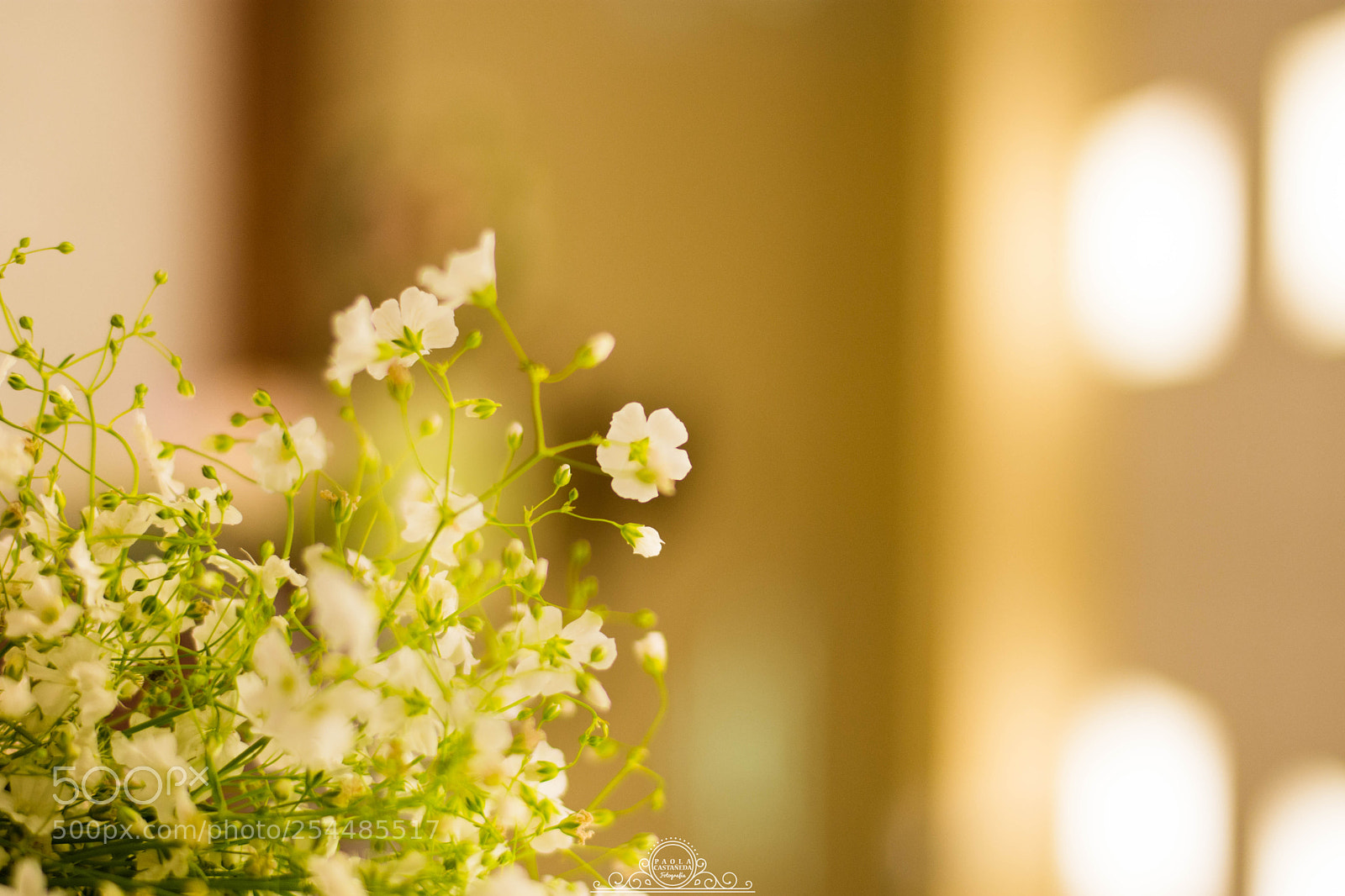 Nikon D7200 sample photo. A&j discurso photography