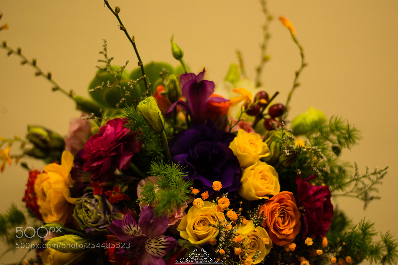 Nikon D7200 sample photo. A&j discurso photography