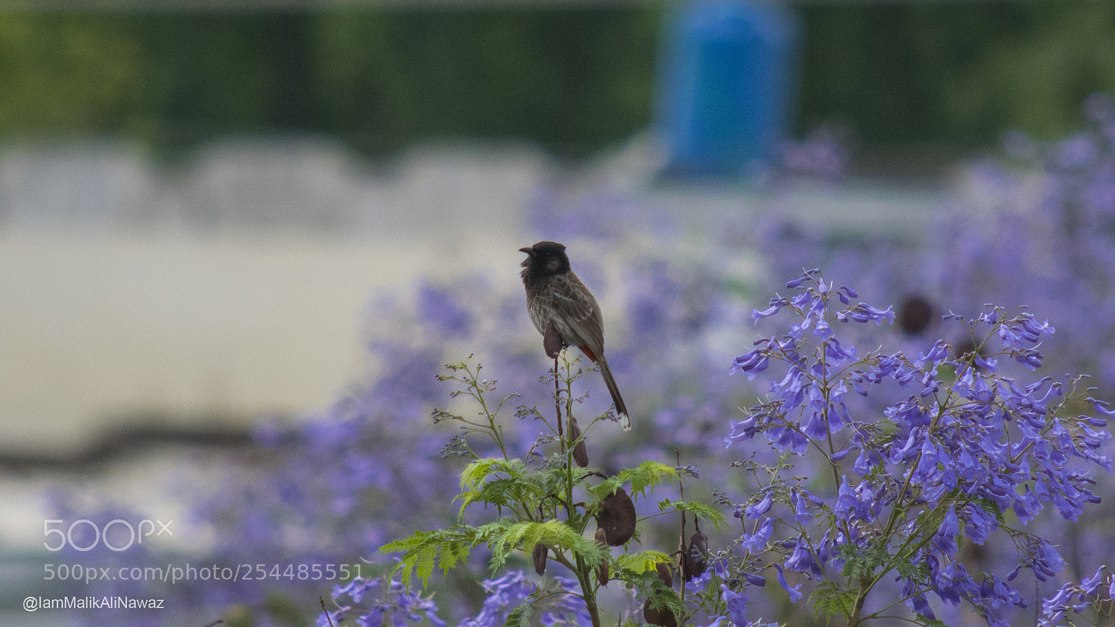 Nikon D3300 sample photo. Solitude photography