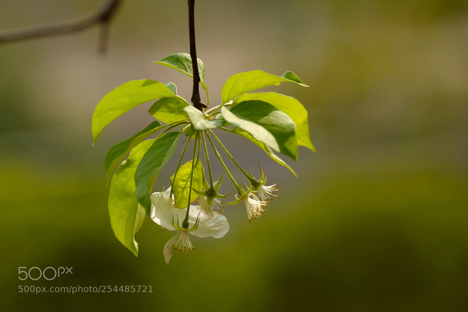 Leica SL (Typ 601) sample photo. Untitled photography