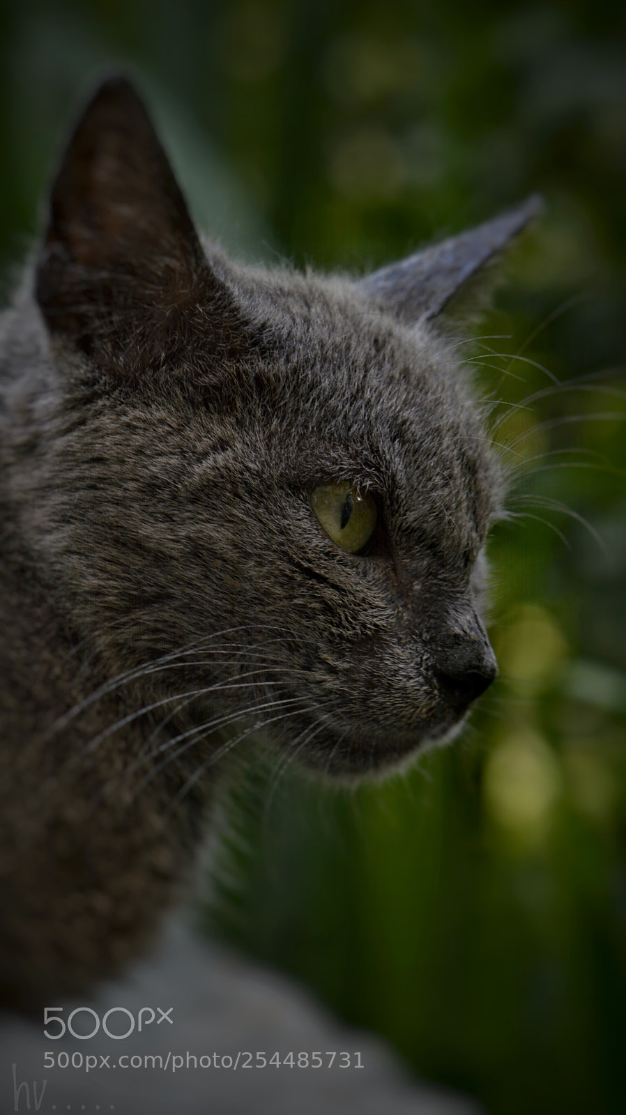 Nikon D7100 sample photo. Untitled photography