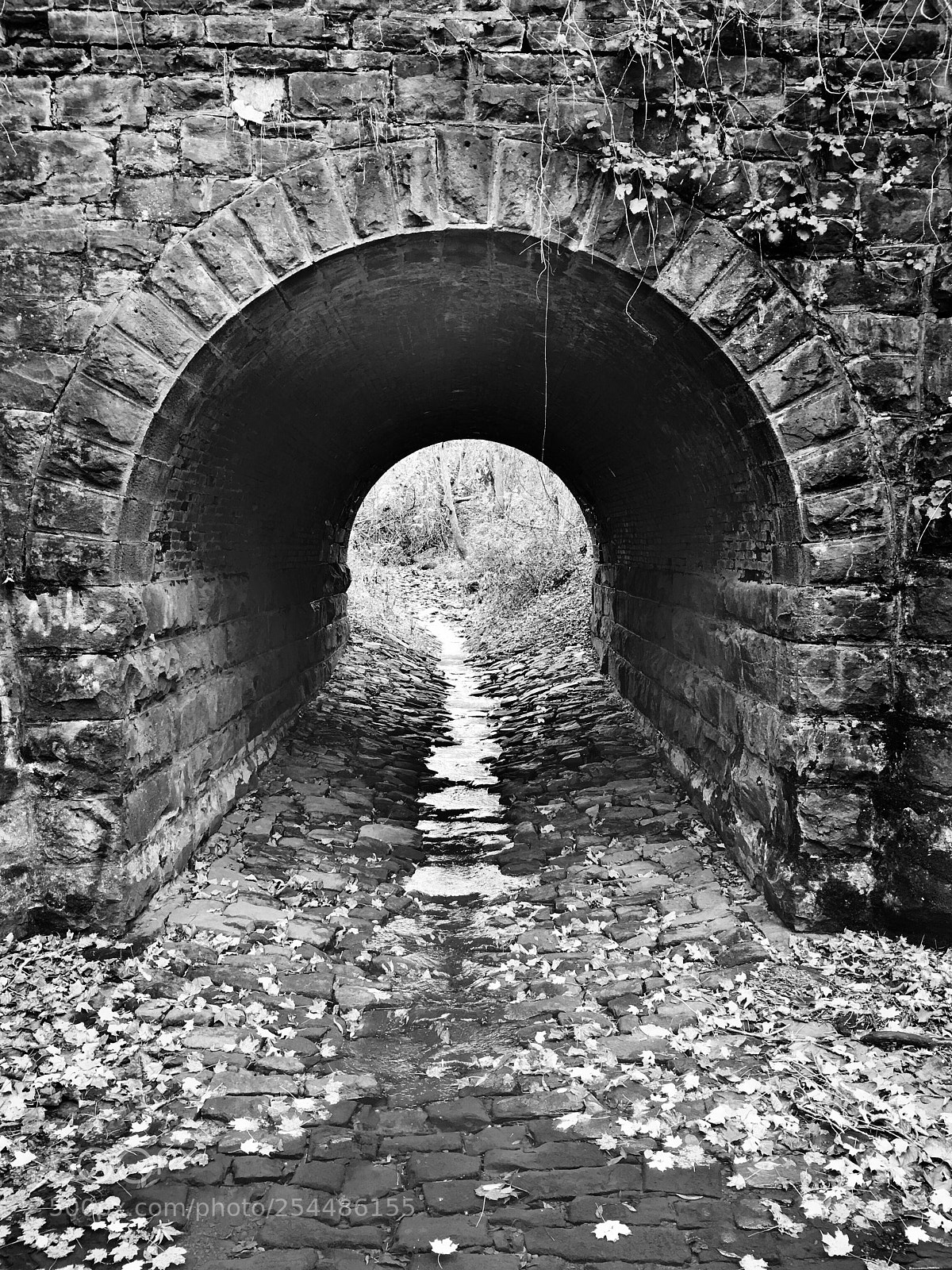 Apple iPhone 6s Plus sample photo. Tunnel to nowhere photography