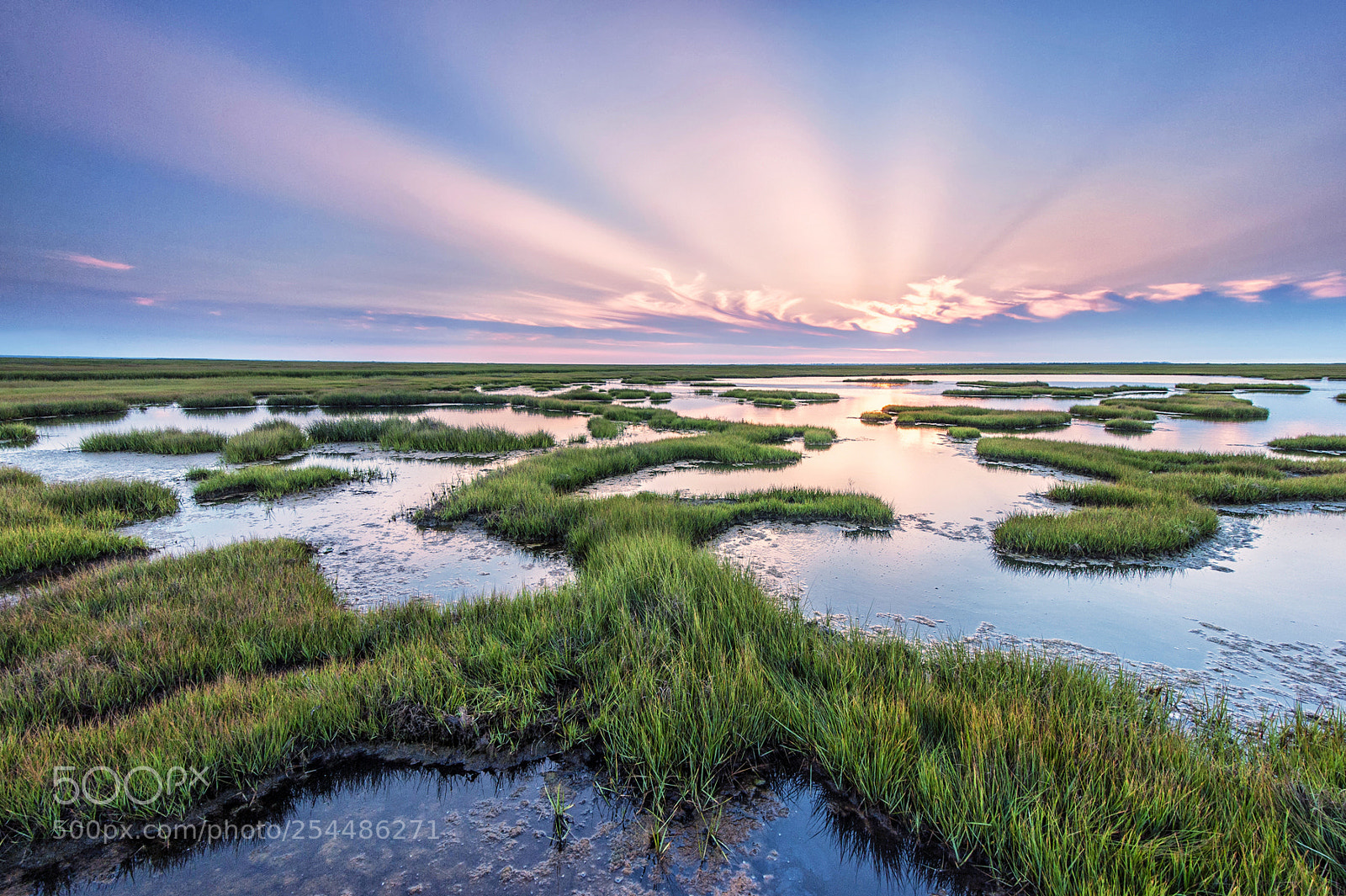 Nikon D700 sample photo. Nj tidal wetlands photography