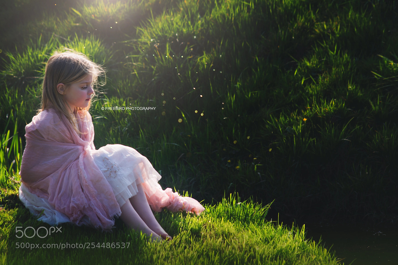 Nikon D5200 sample photo. Basking photography