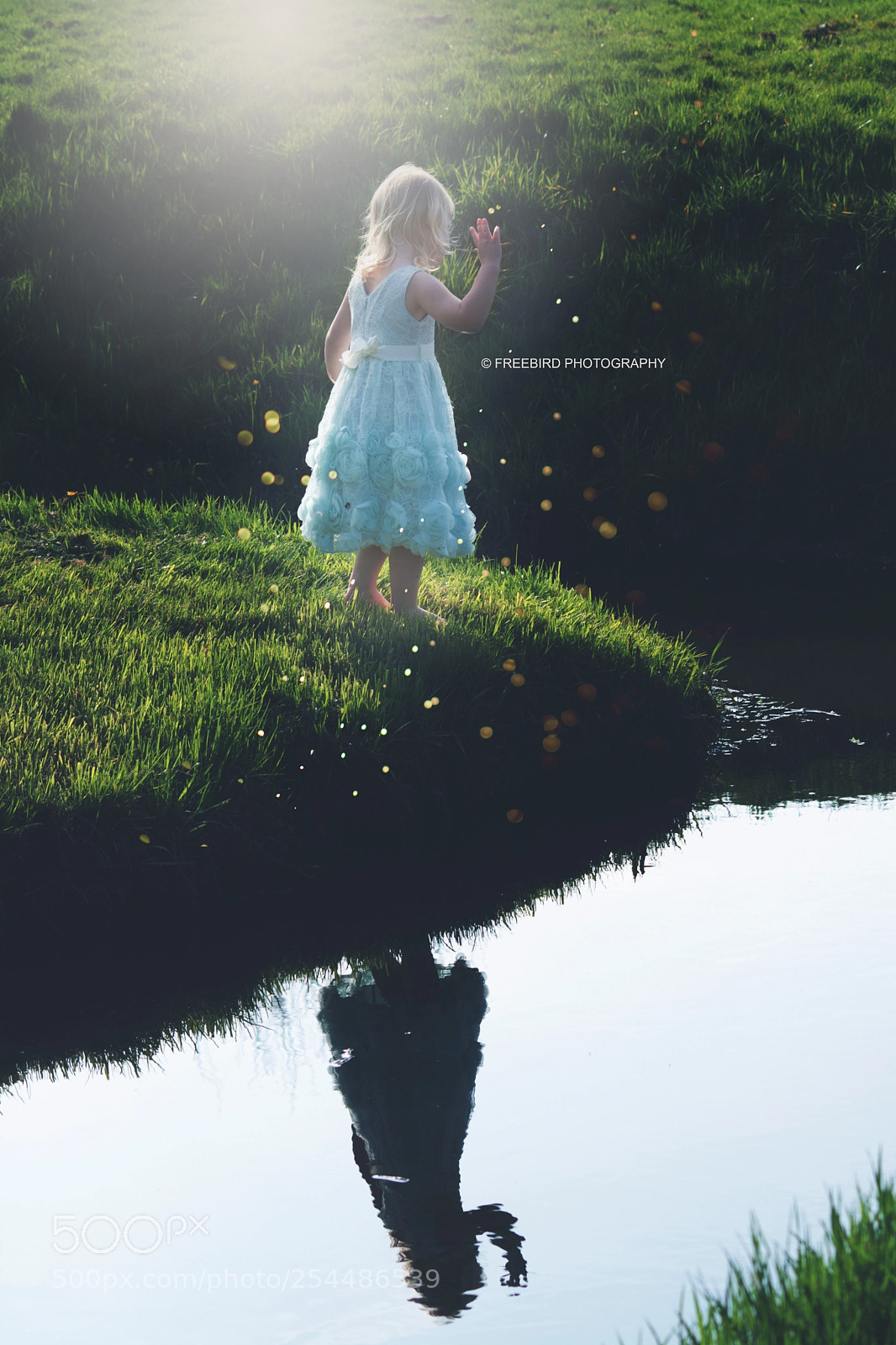 Nikon D5200 sample photo. Reflections wave photography