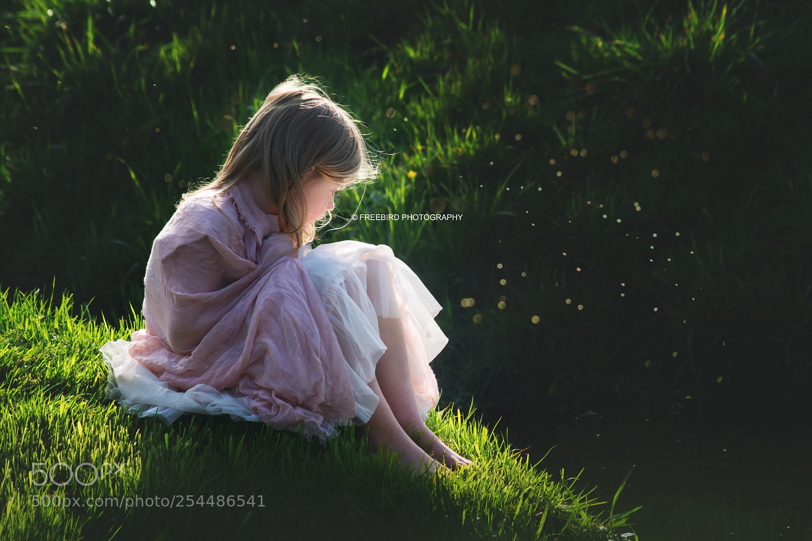 Nikon D5200 sample photo. Firefly photography