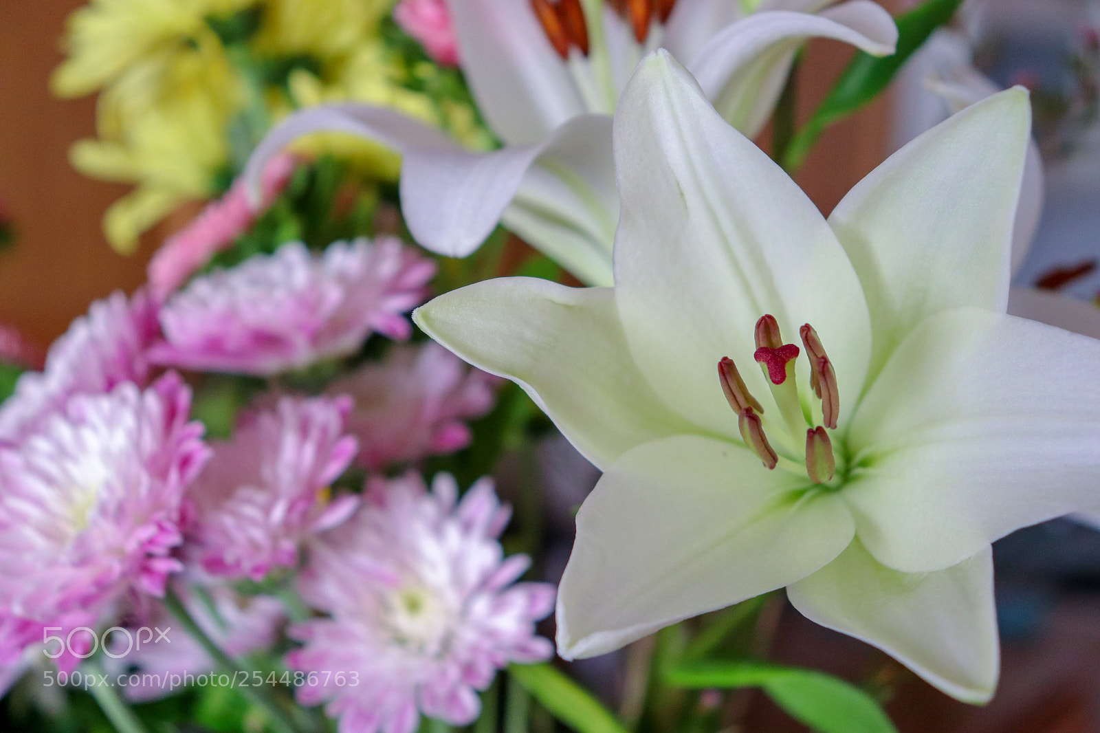 Canon EOS 800D (EOS Rebel T7i / EOS Kiss X9i) sample photo. Kitchen floral photography