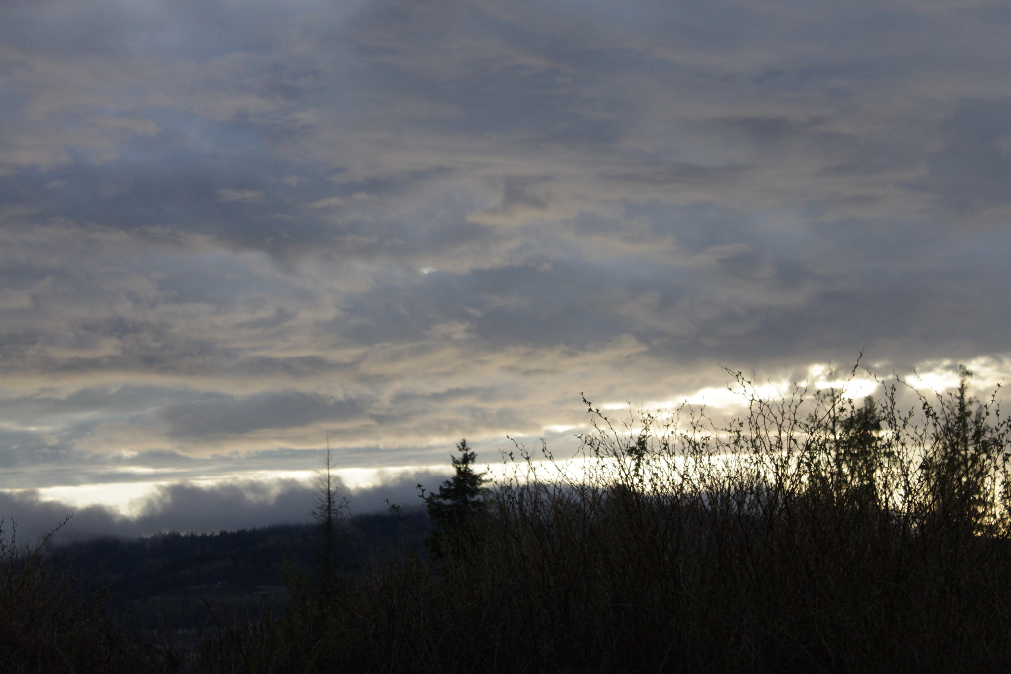 Canon EF-S 18-55mm F3.5-5.6 IS sample photo. The gods' spraypaint photography