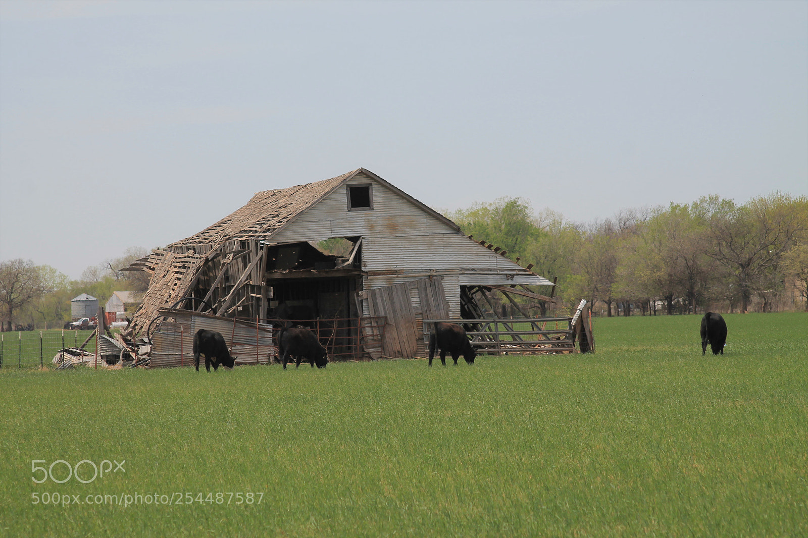 Canon EOS 1100D (EOS Rebel T3 / EOS Kiss X50) sample photo. Still standing ... photography