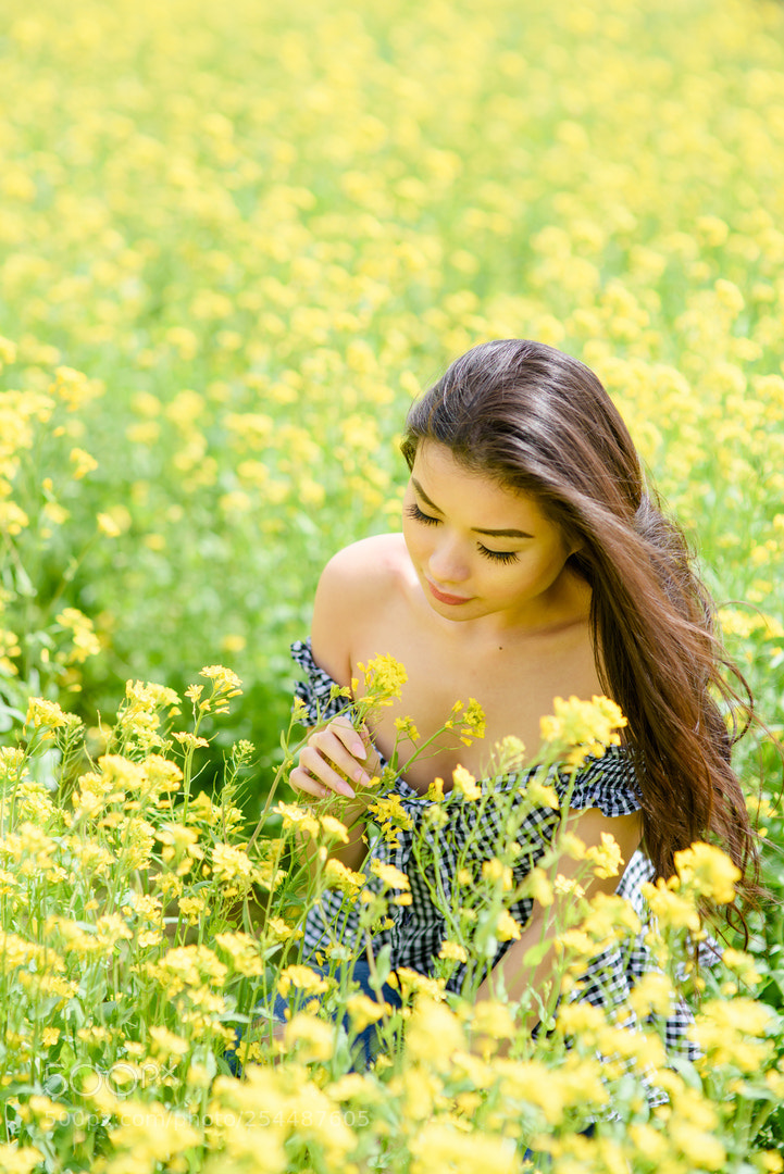 Nikon D810 sample photo. Canola flowers photography