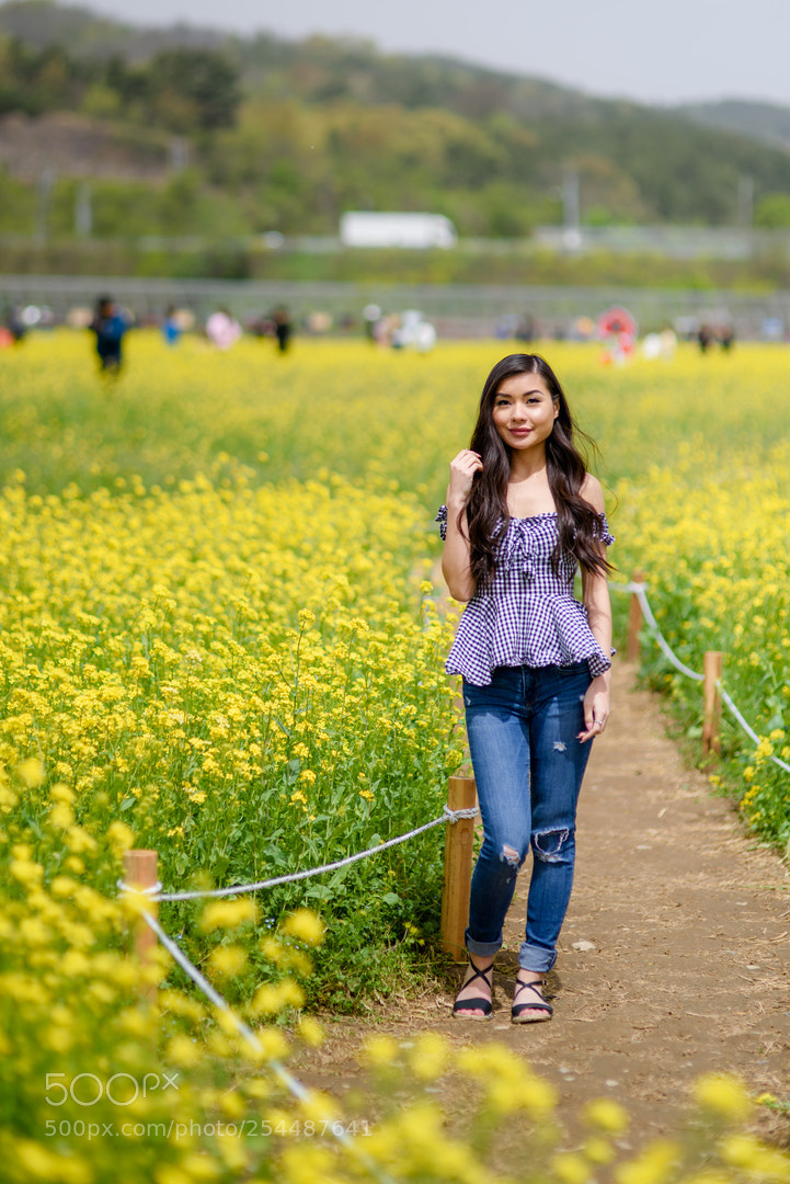 Nikon D810 sample photo. Canola flowers photography