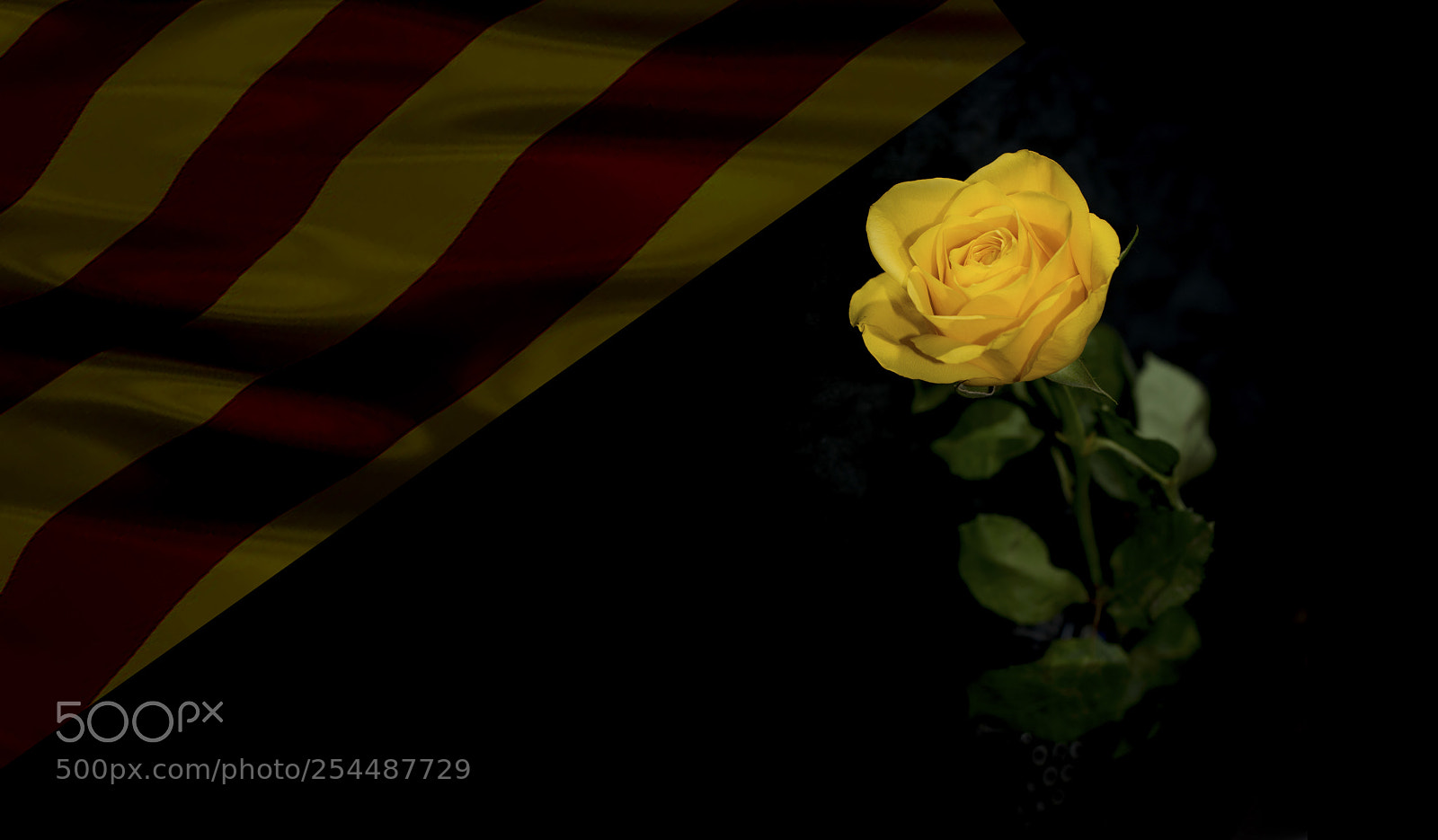 Nikon D800 sample photo. Sant jordi photography