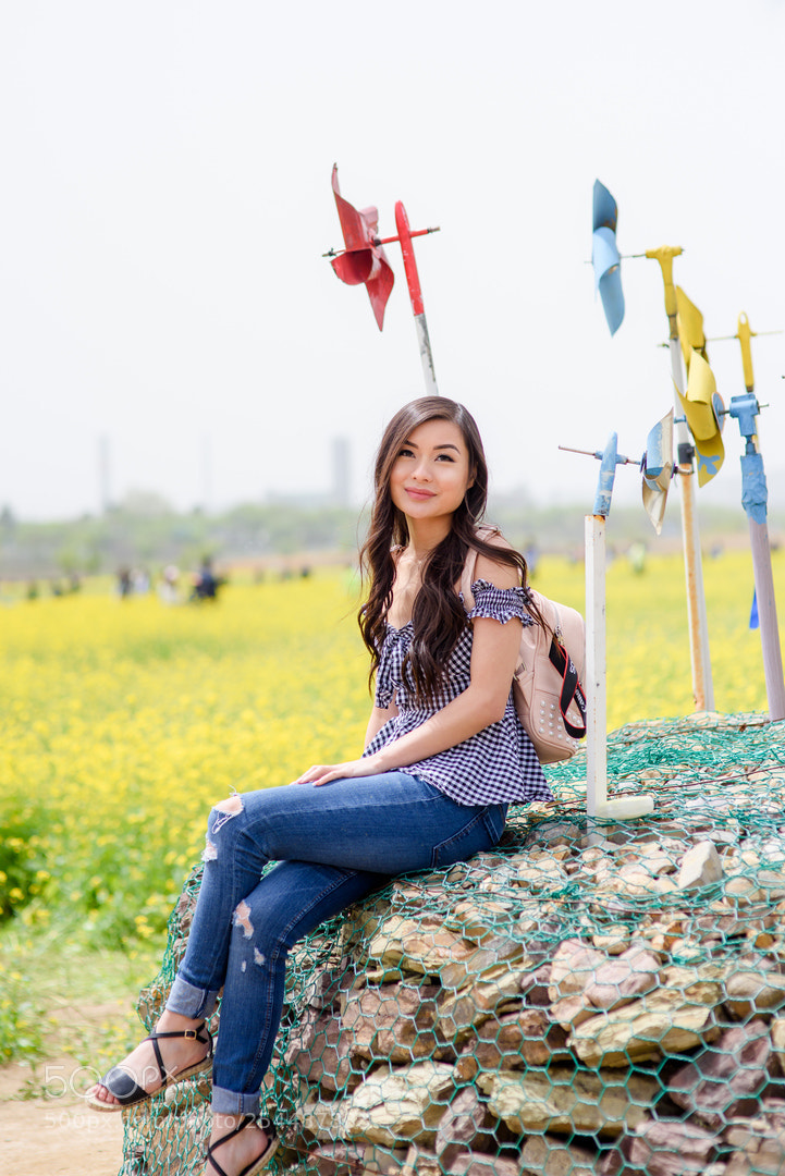 Nikon D810 sample photo. Canola flowers photography