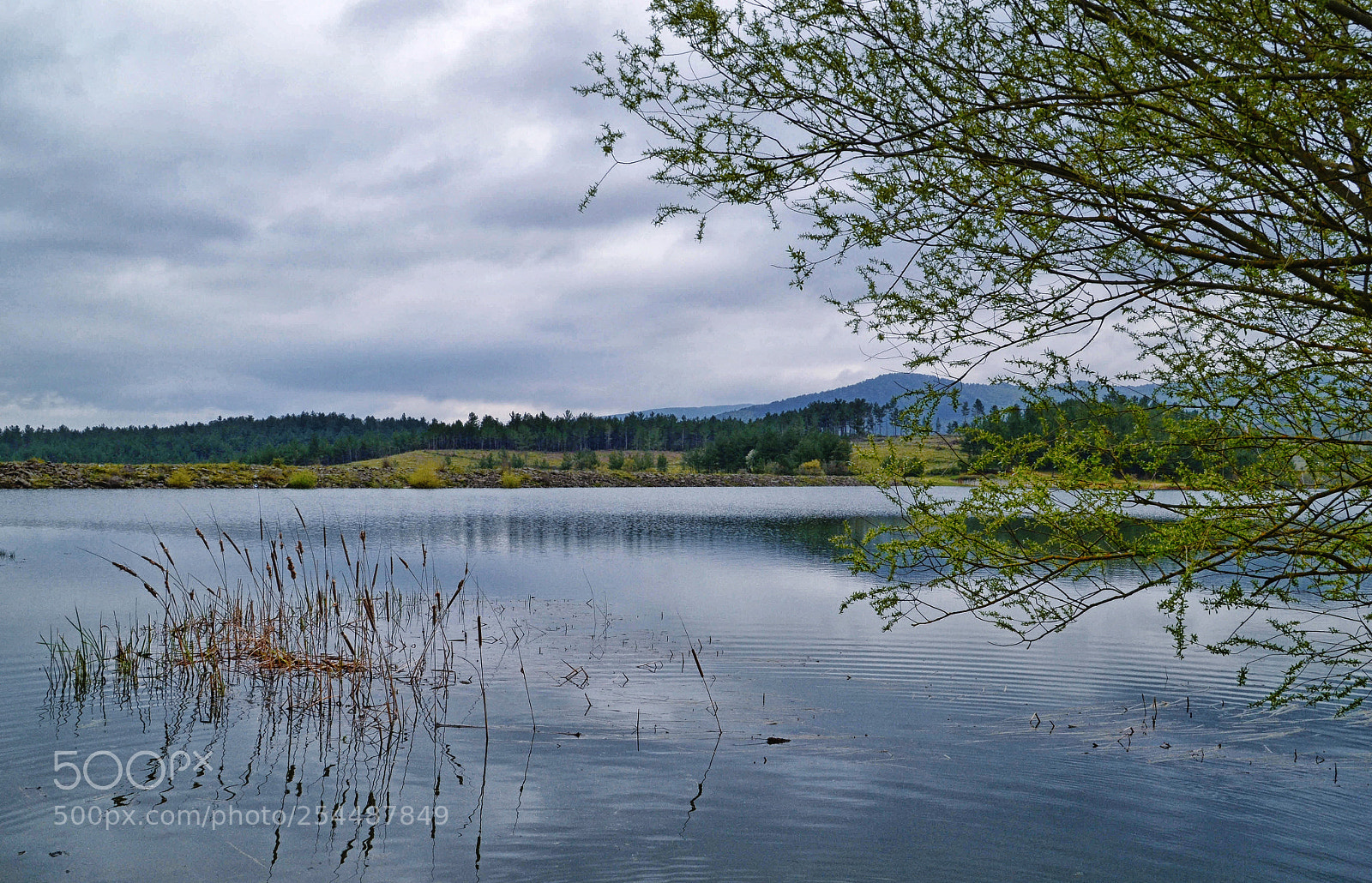 Nikon D3100 sample photo. Csc photography